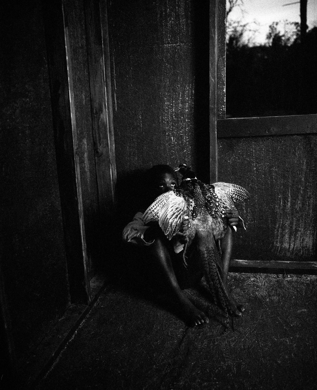  Pheasant , 2026 
From the series  The Water Bring We, The Water Wanna Take We Back   