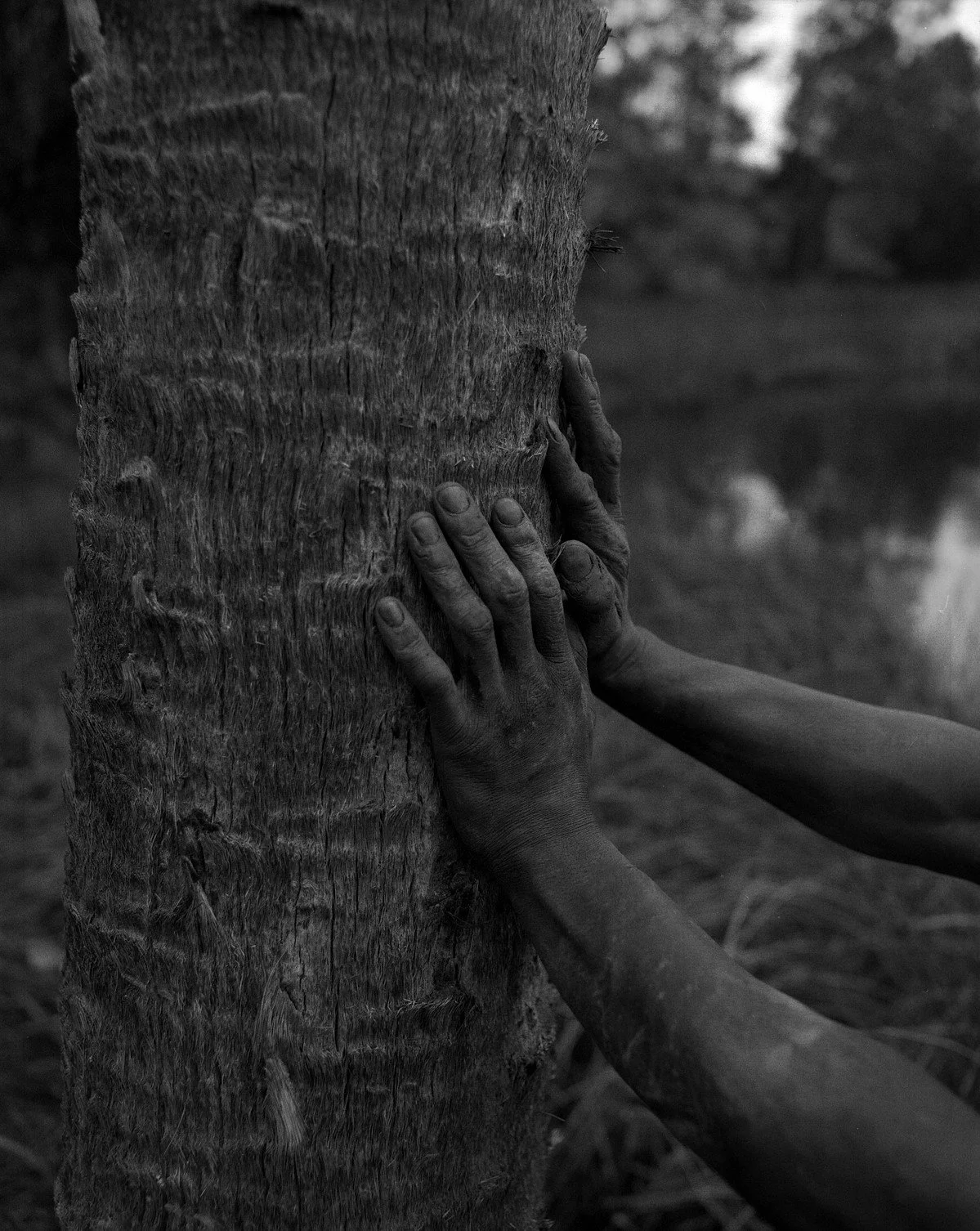  Pluff Mud , 2025 
From the series  The Water Bring We, The Water Wanna Take We Back   