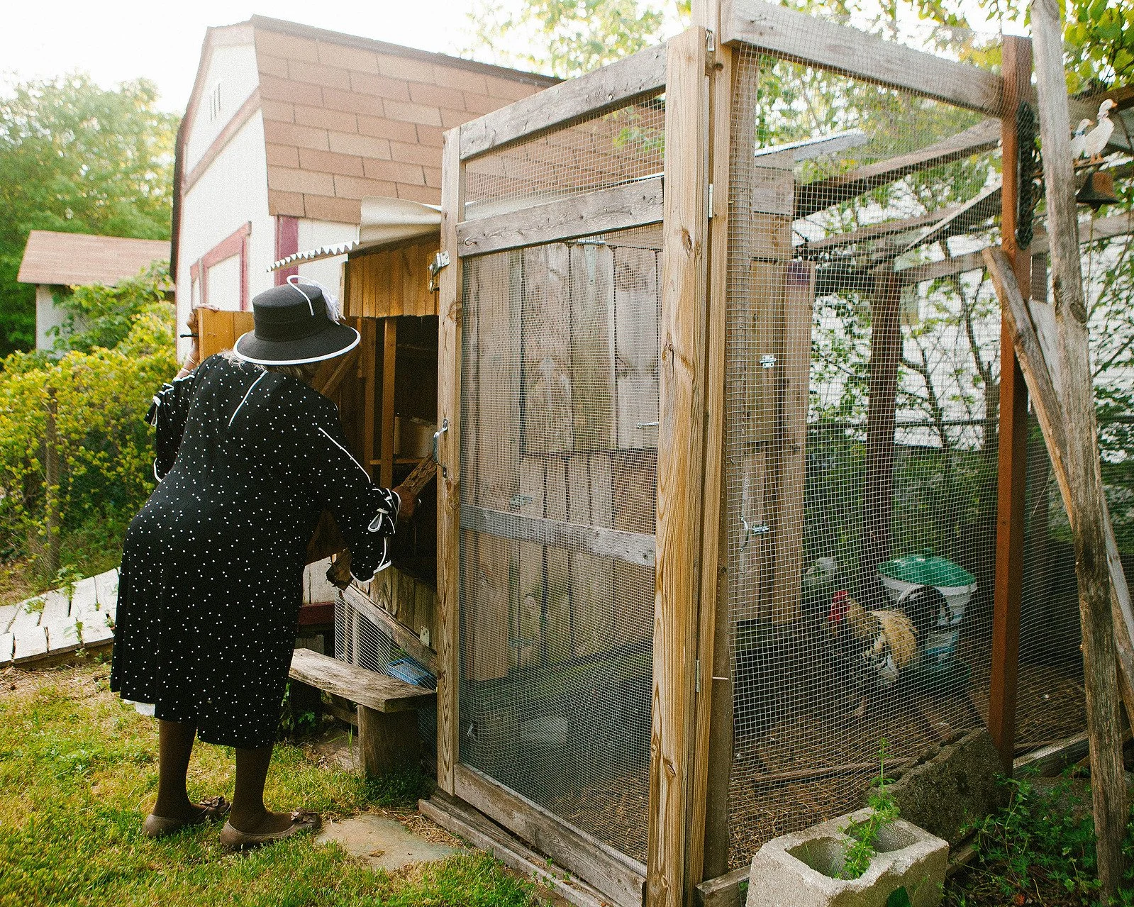  Chicken Coop , 2019 
From the series  Everything I Don' Know You Can Teach Me  