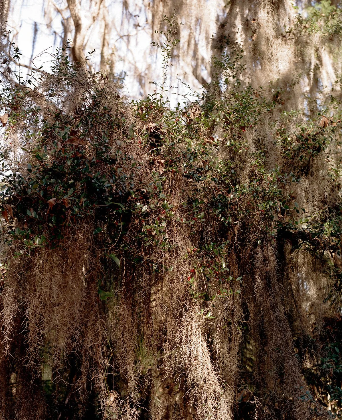 Photographed for  Atmos Magazine , 2024 
From the series  The Water Bring We, The Water Wanna Take We Back   