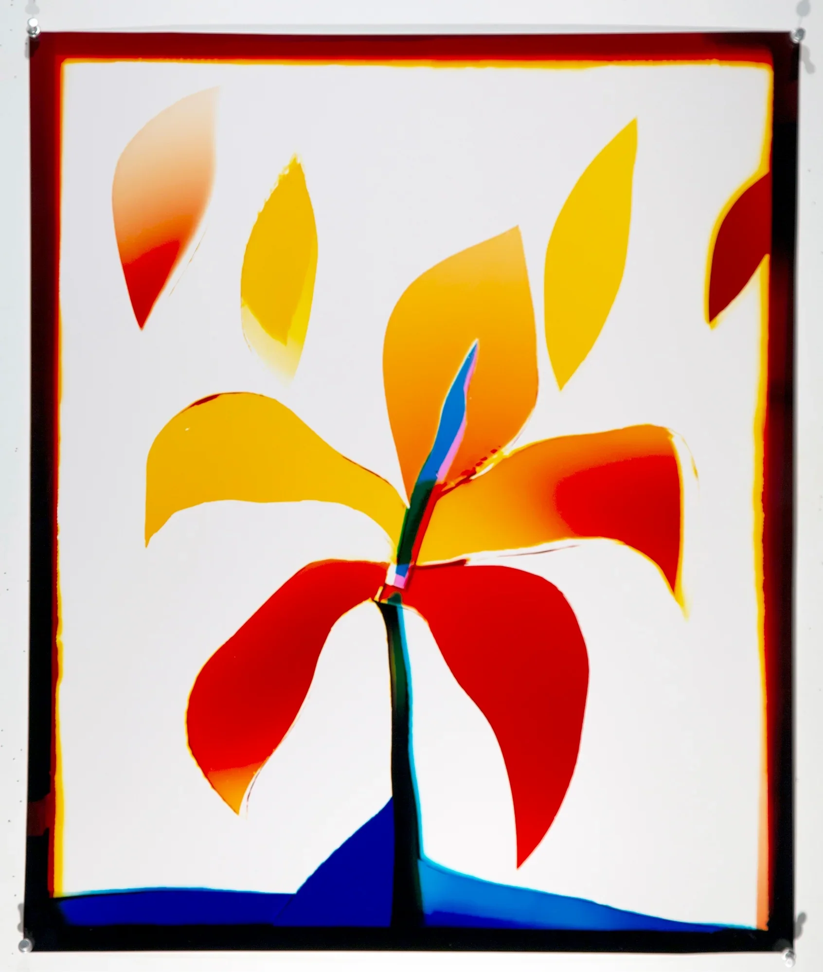Liz Nielsen - She Loves Me, 2019