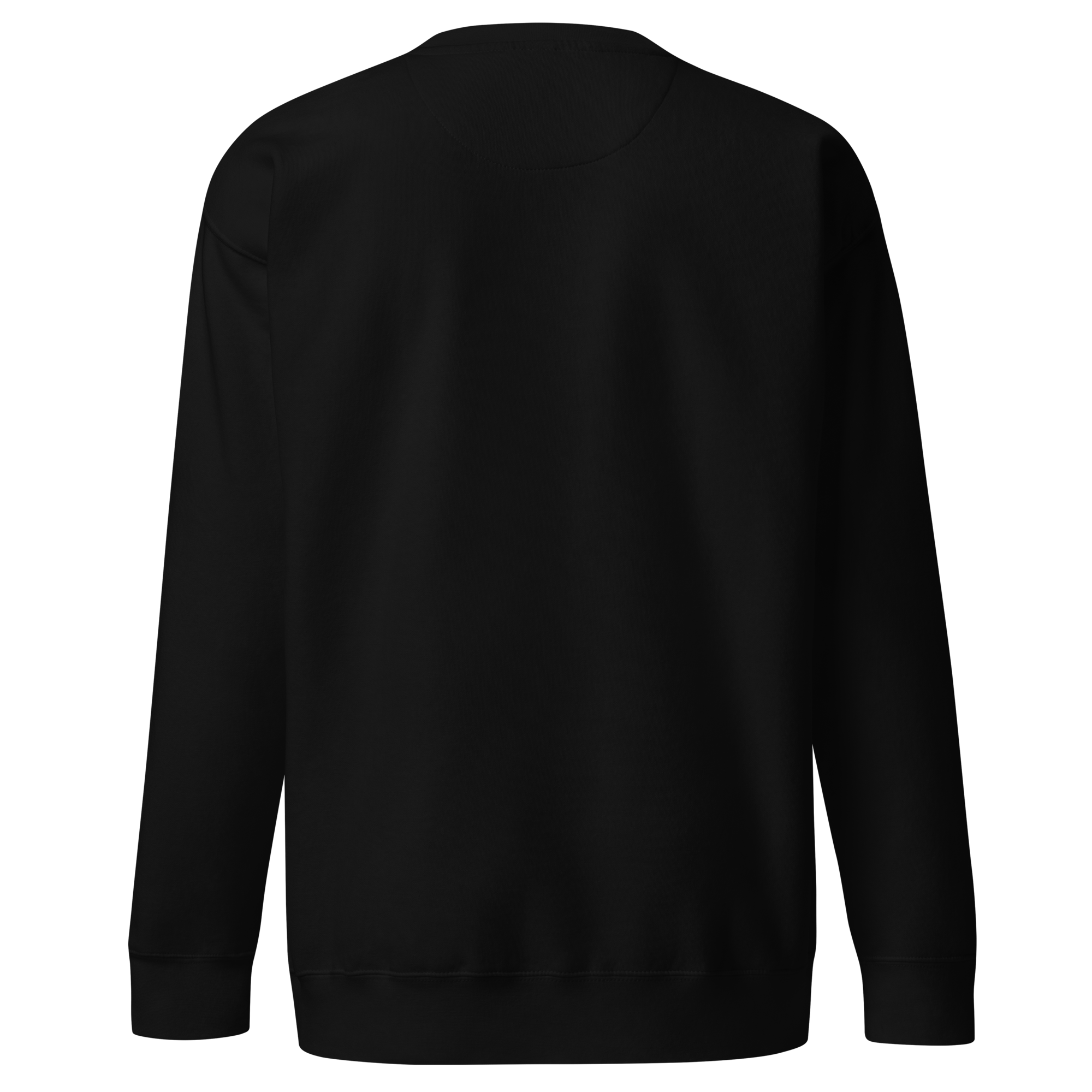unisex-premium-sweatshirt-black-back-698f719381edc.png