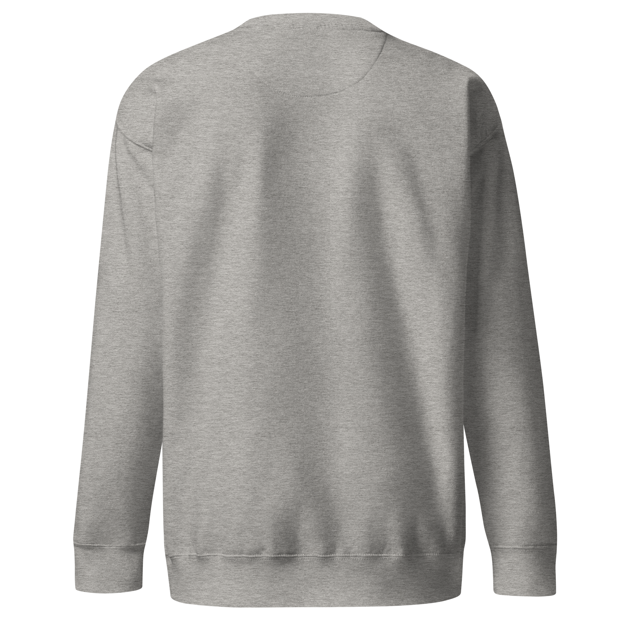 unisex-premium-sweatshirt-carbon-grey-back-6aa8588921bab.png