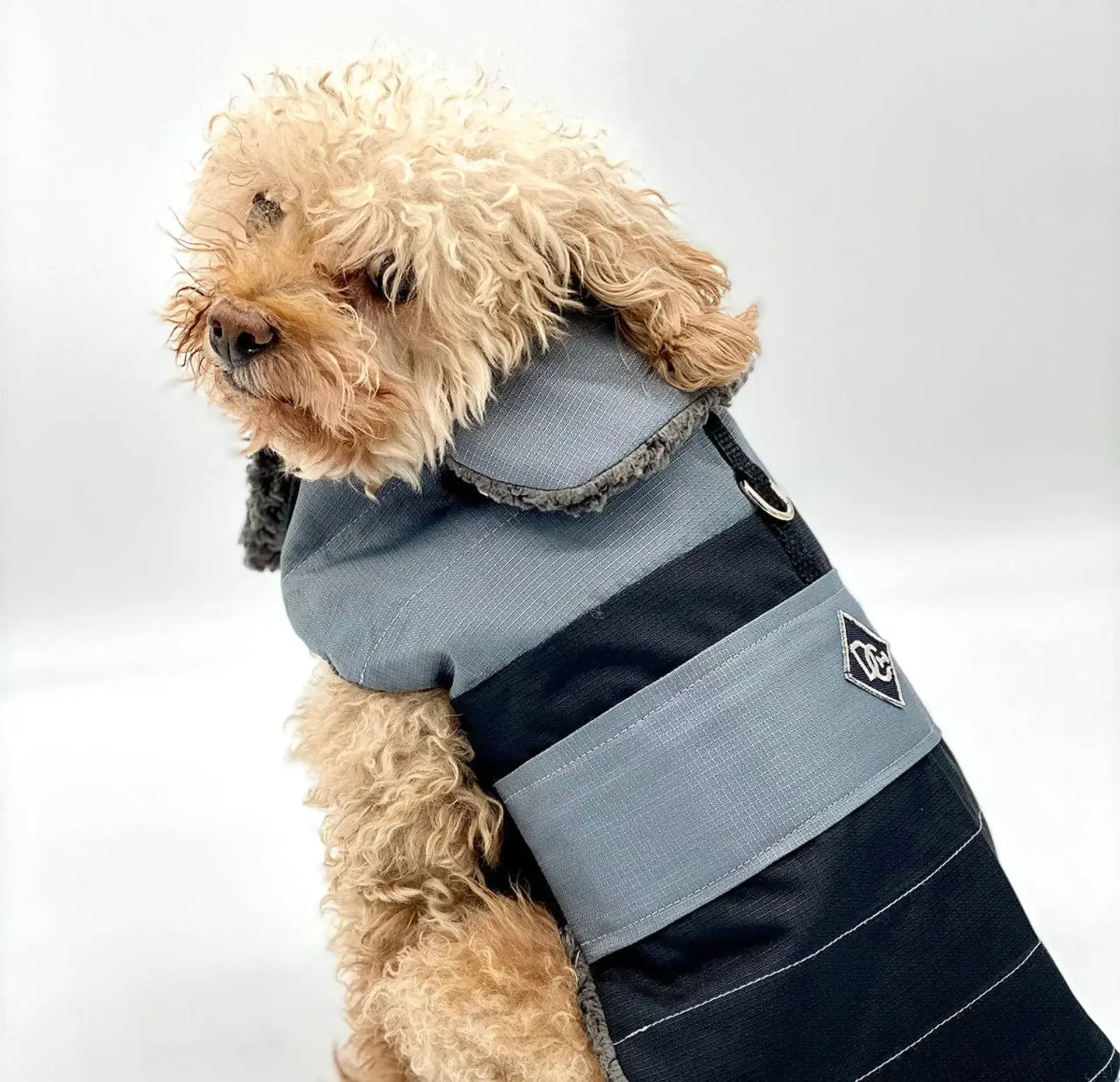 DoggieCoutureNY Water Resistant Dog Coat - Ottertex Fleece-Lined Ripstop Jacket with Velcro Closure | Bougie Buddy DCNY-WR-BT-XS