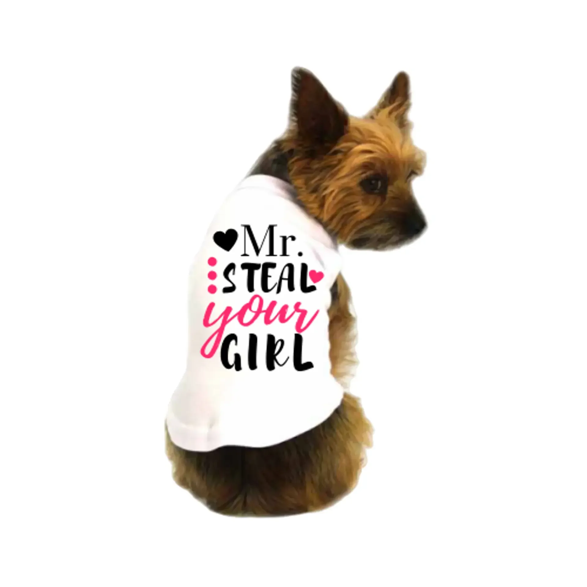 Mr. Steal Your Girl Dog Shirt - Funny Bougie Pet Tee in White, Grey, Red, Black | Bougie Buddy BarkFifthAve1794