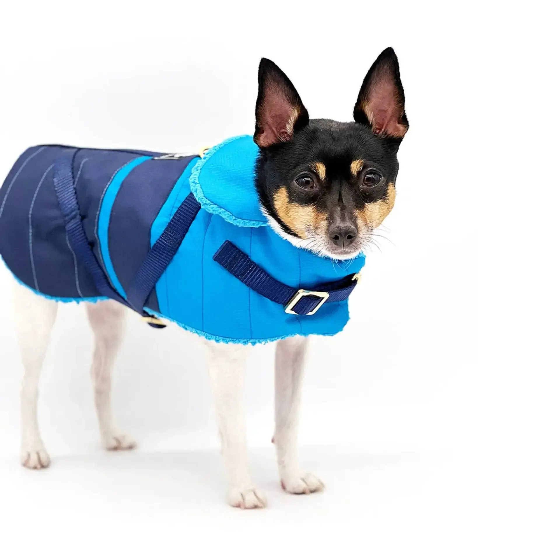 Clear Blue Sky" DCNY Equestrian Water-Resistant Dog Coat - Blue Ottertex Ripstop Jacket with Brass Surcingle Closures | Bougie Buddy DoggieCoutureNY00049