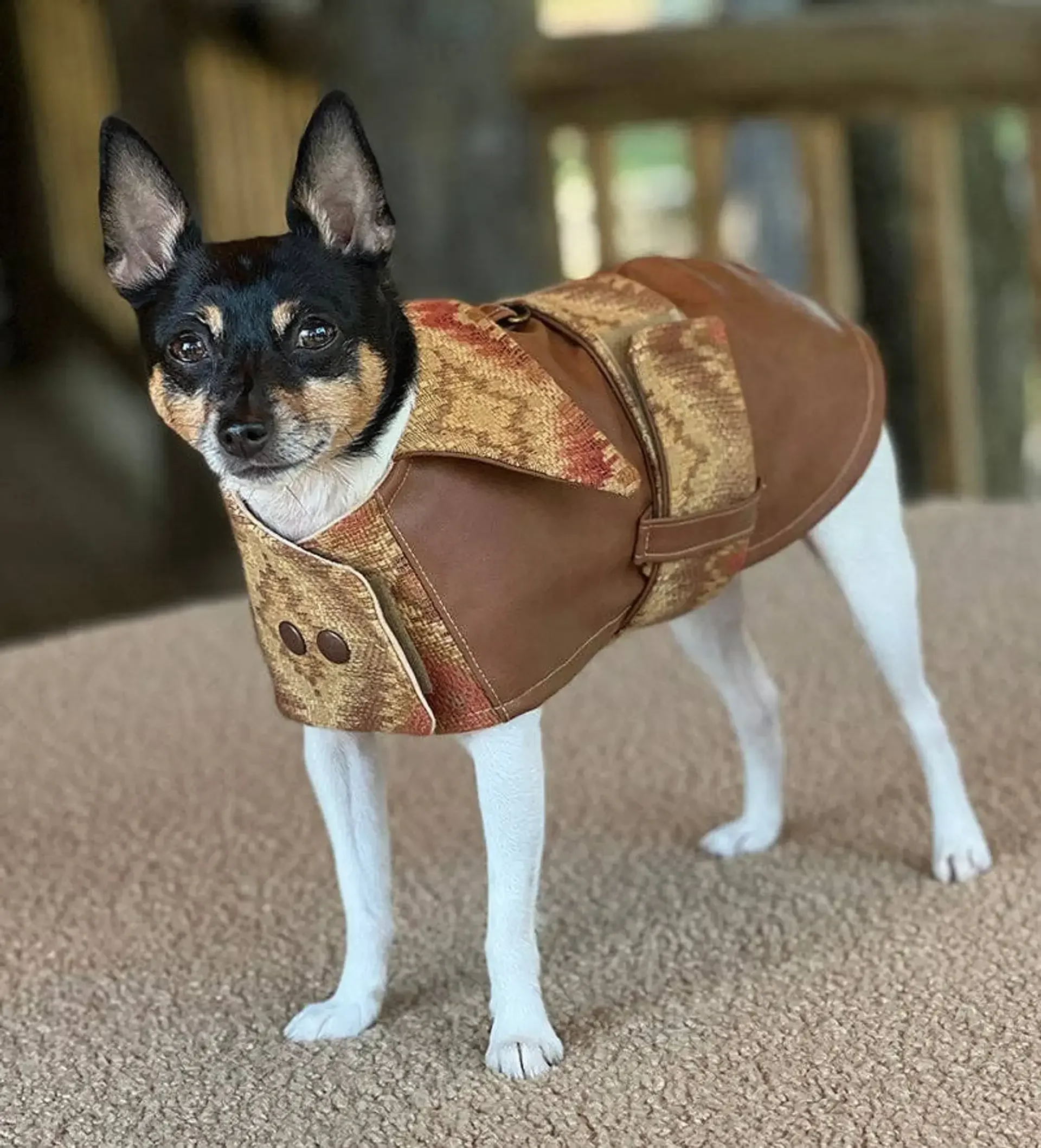 2299-DoggieCoutureNY00005 (2).webp