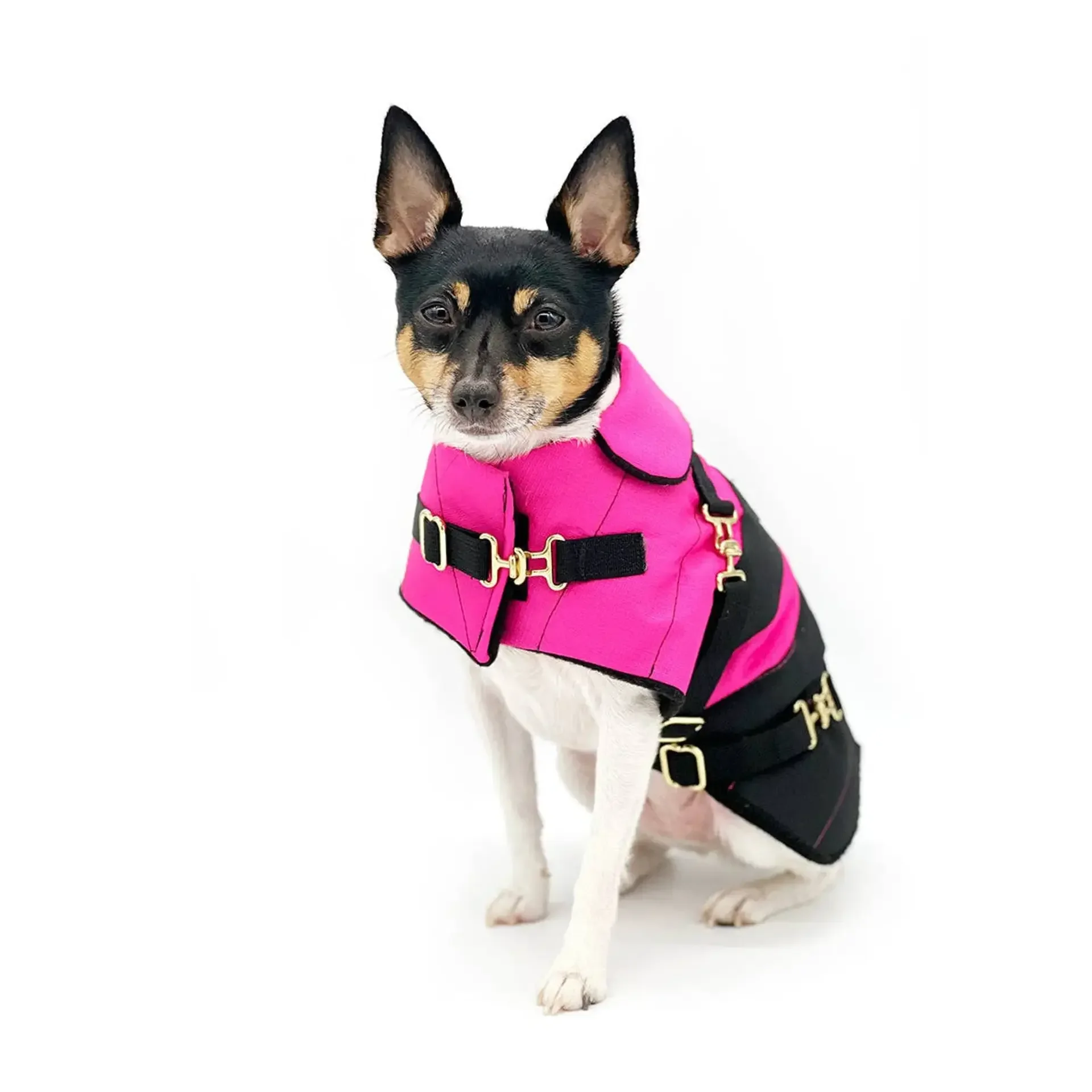 "Fun with Fuschia" DCNY Equestrian Water-Resistant Dog Coat - Pink Ottertex Ripstop Jacket with Surcingle Closures | Bougie Buddy DCNY-EQUEST-PNK-XS