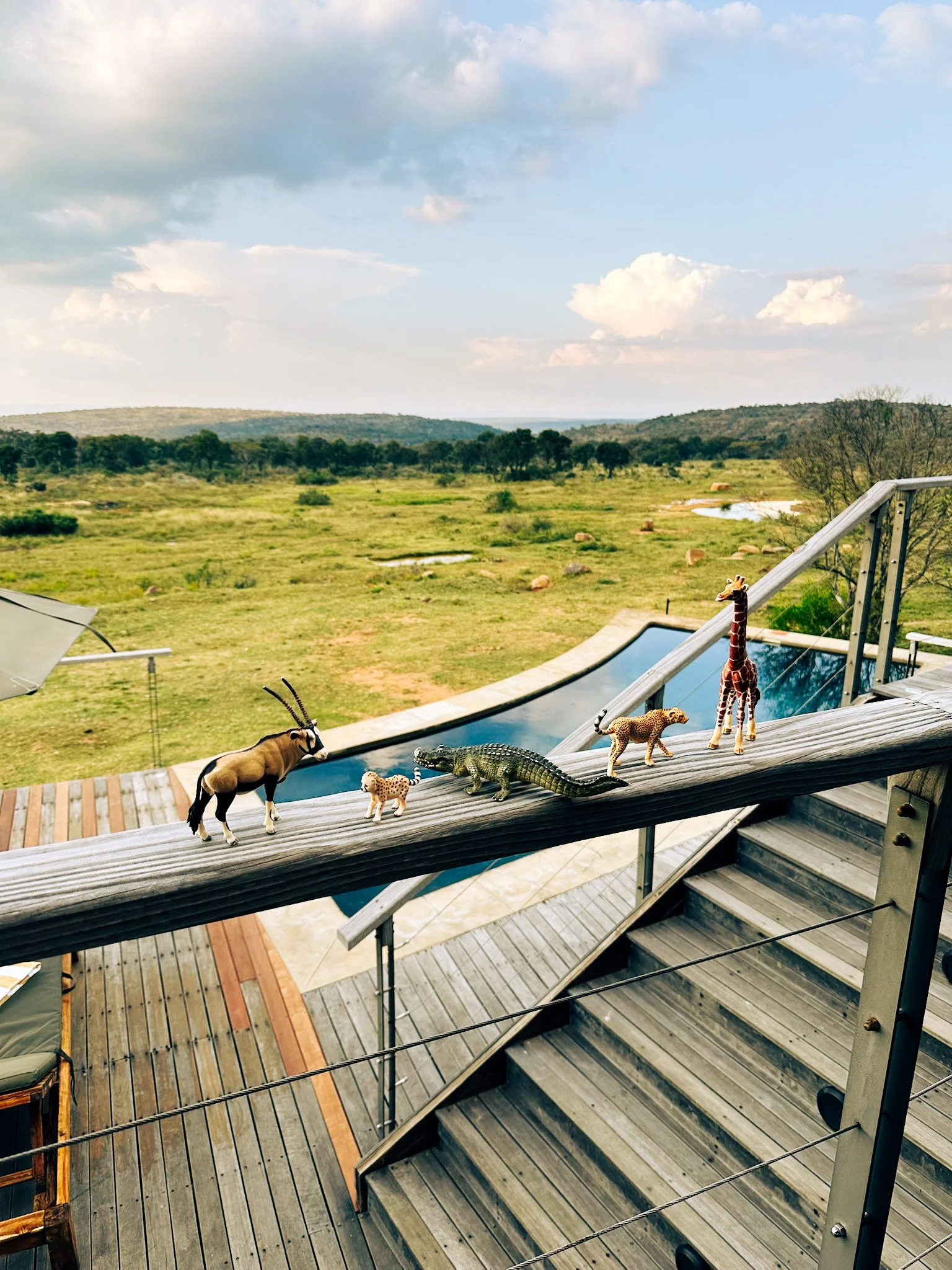 Collection of toy animal figures lined up on a wooden railing overlooking a landscape with grassy plains, trees, and a few small water bodies. The animal toys include an antelope, a tiger, a crocodile, a cheetah, and a giraffe.