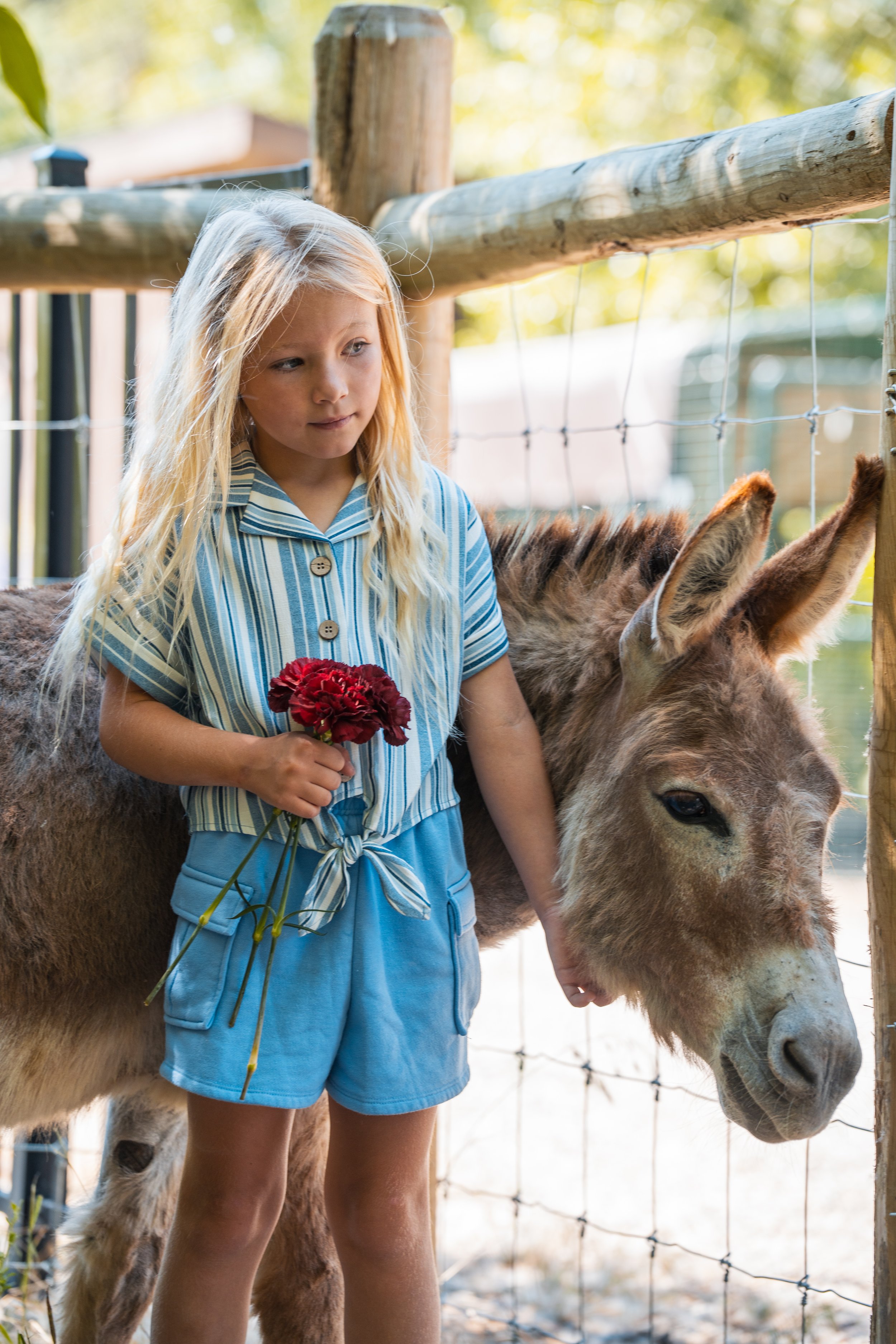 A young girl with long blonde hair, wearing a blue striped shirt and blue shorts, holding a red flower, standing next to a donkey behind a wooden fence, outdoors with blurred trees in the background.