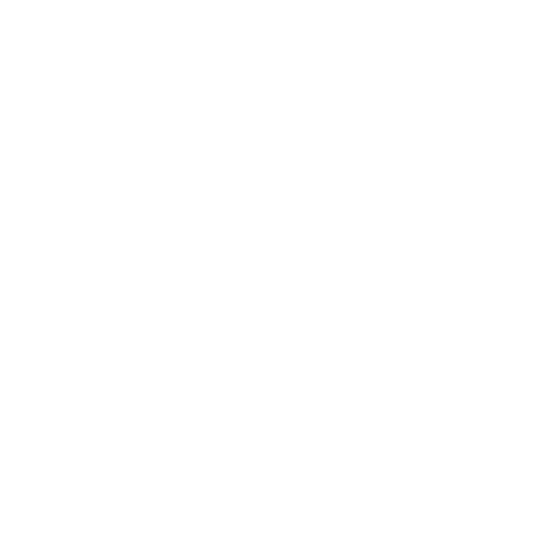 White outline of flowers and butterflies on a black background.