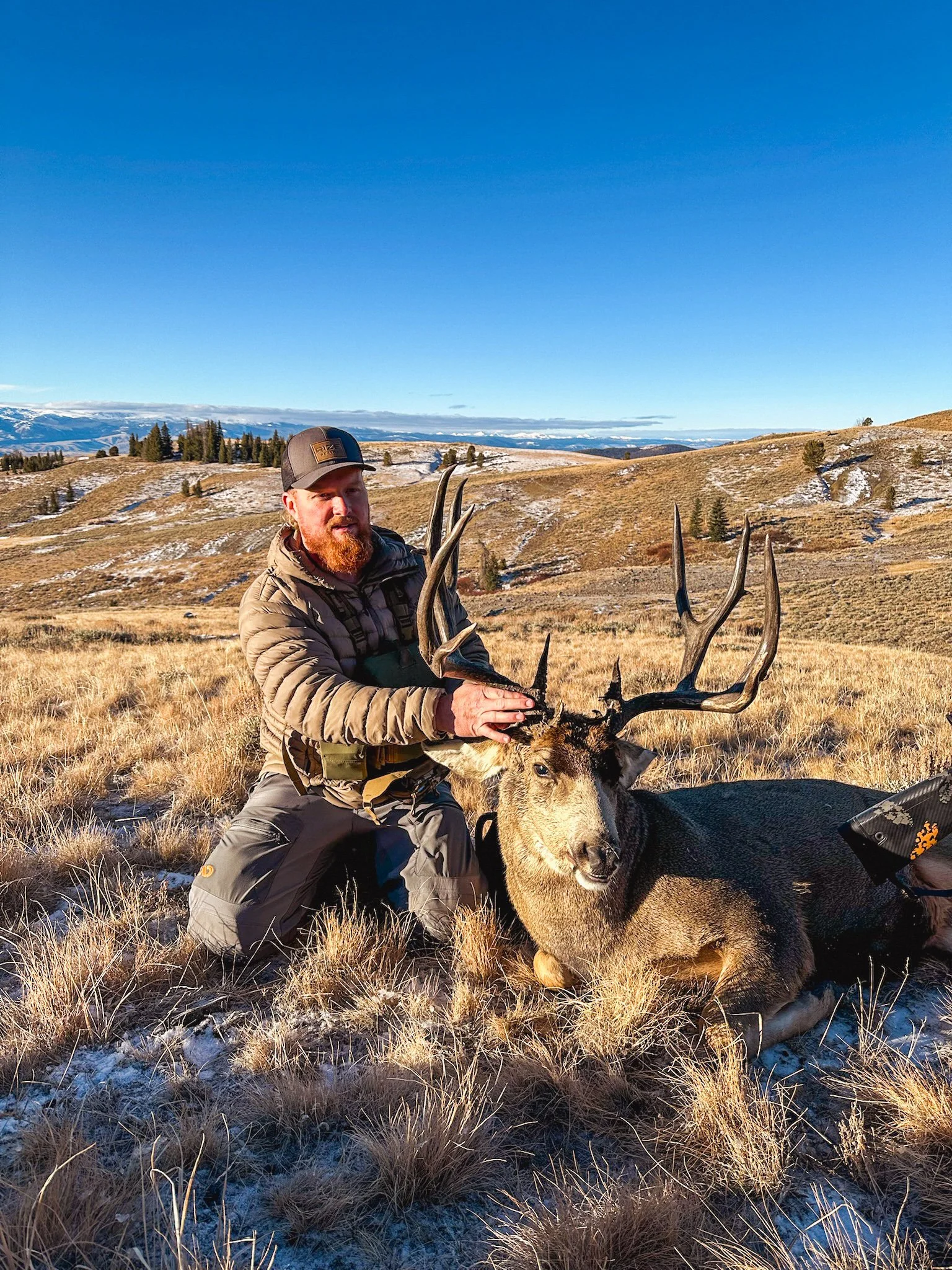 A man with a beard kneeling in a grassy field holding the antlers of a large deer with prominent antlers, in a scenic landscape with hills and sparse trees under a blue sky.