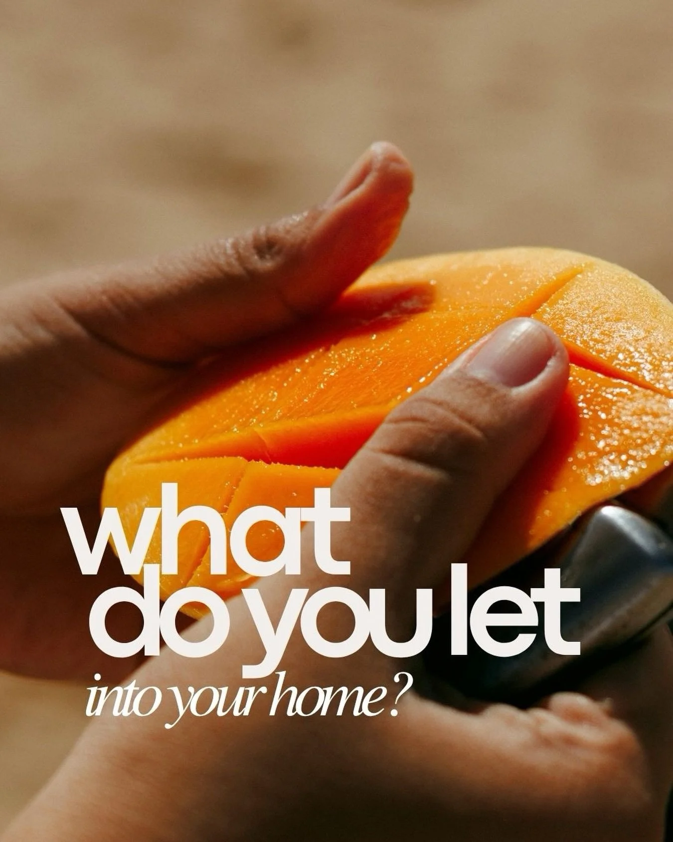 A quiet question we&rsquo;ve been sitting with for a long time.

What we choose.
What we allow in.
What we live with every day.

Your home holds so much of your life. 
But how often do we stop and ask what we&rsquo;re really bringing into it?

This q