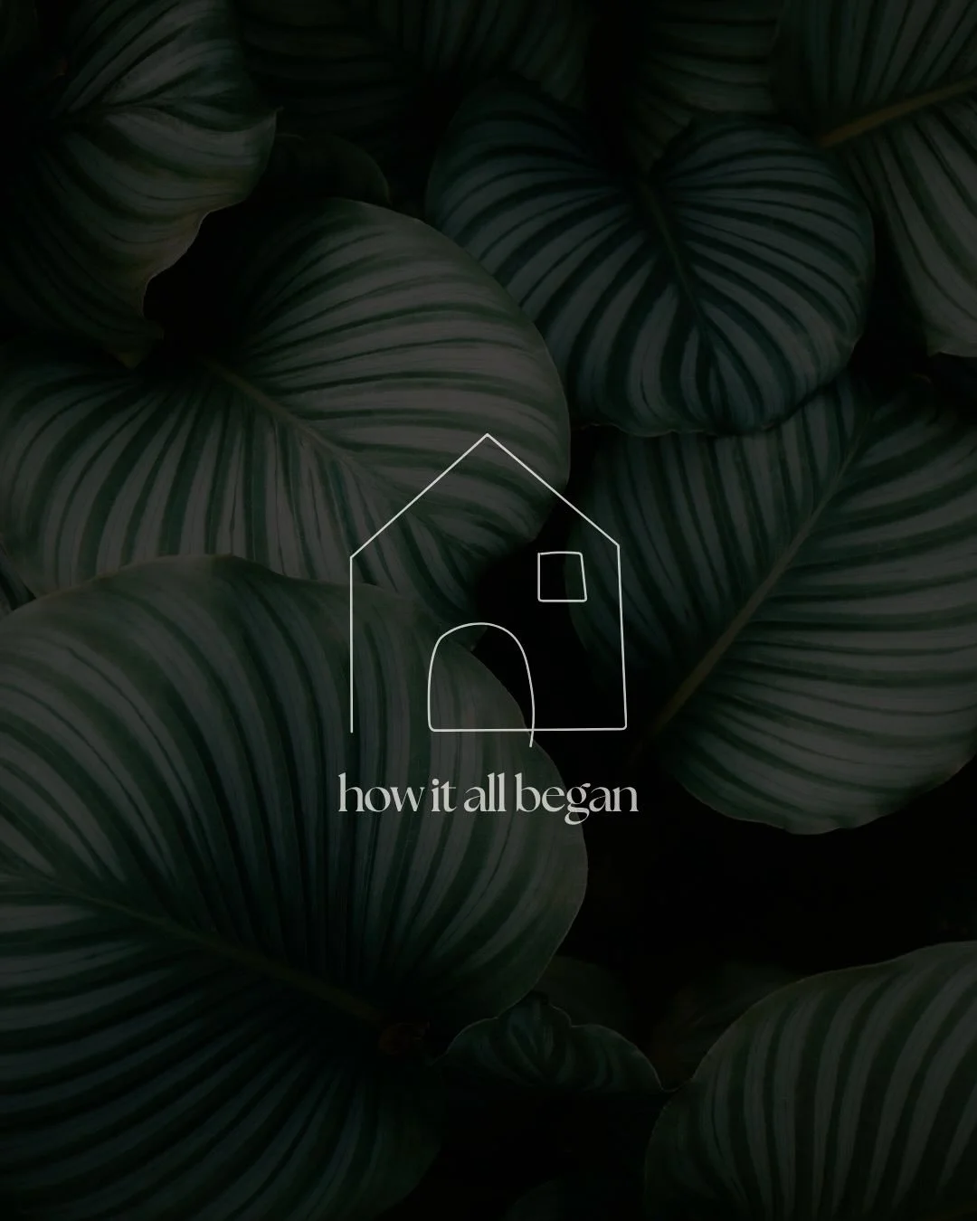 That little &ldquo;moo&rdquo; from our grandma&rsquo;s fridge started it all. Born from childhood memories and shaped by conscious choices. The Moo Edit exists to make healthy, low toxic living feel approachable, intentional and rooted in real life. 