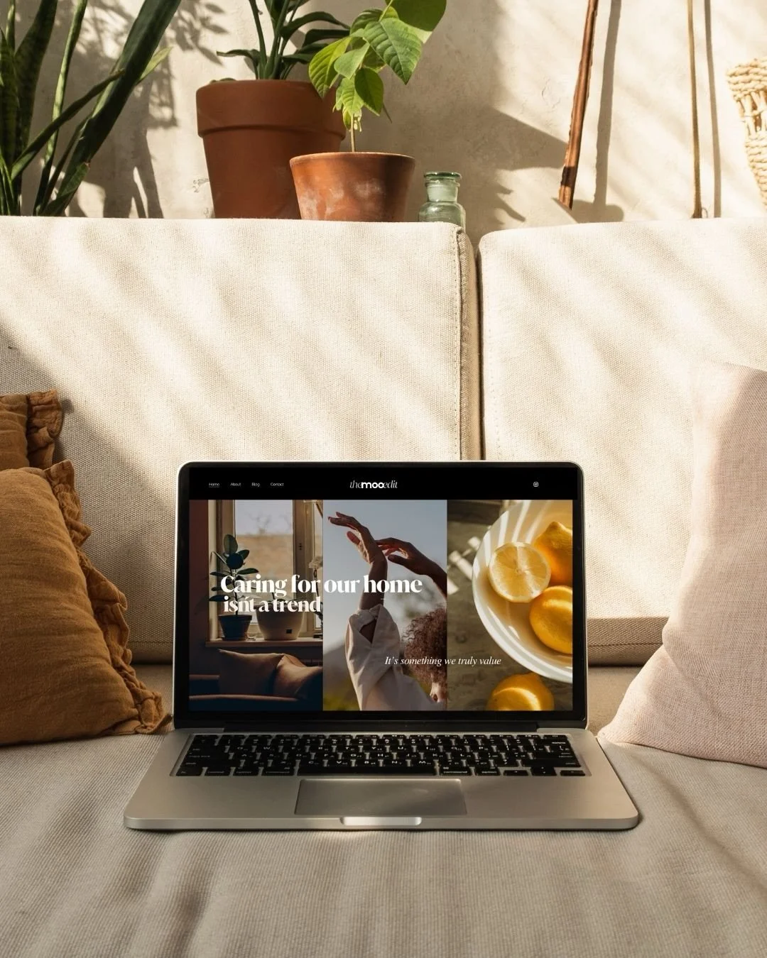 Do you spend hours looking up products and ingredients to see if they&rsquo;re low-tox?

Same. And that&rsquo;s why we started The Moo Edit.

Our little corner of the web is home to our story, our philosophy and everything we know about low-tox home,