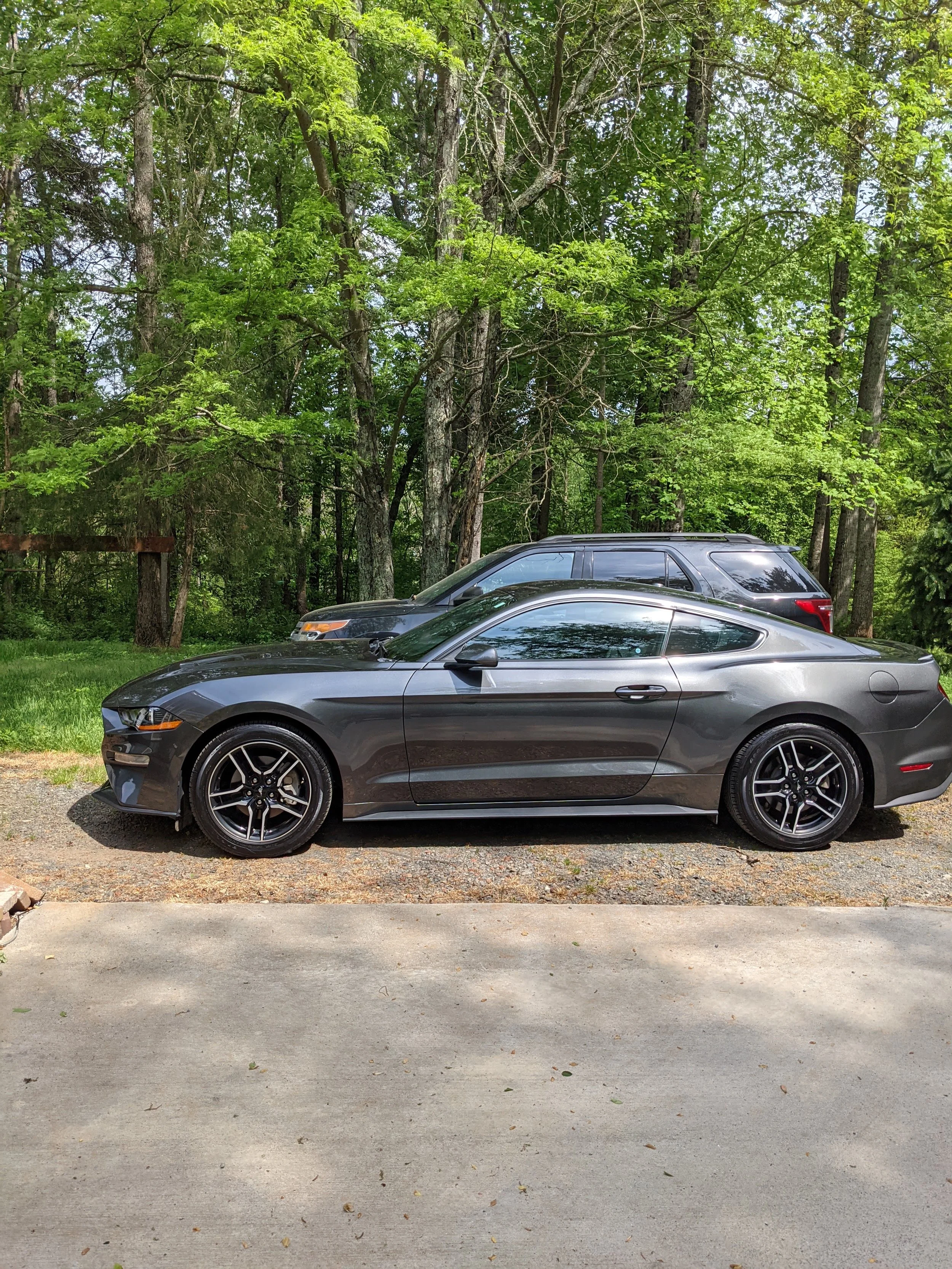 A black sports car parked on a gravel path with a forest of green trees in the background.