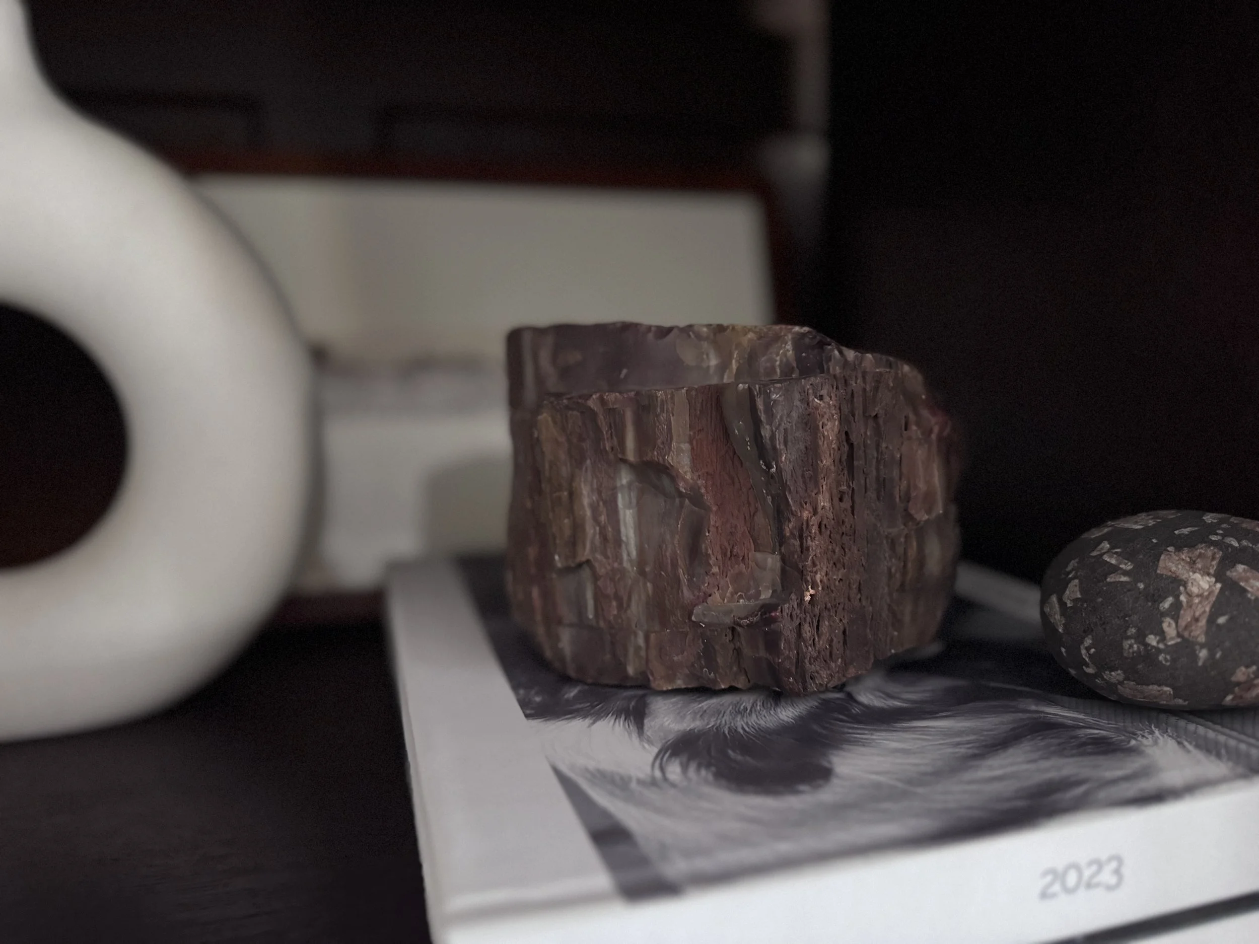 Close-up of a reddish-brown piece of petrified wood, its wood grain still visible, resting on a book on a dark shelf