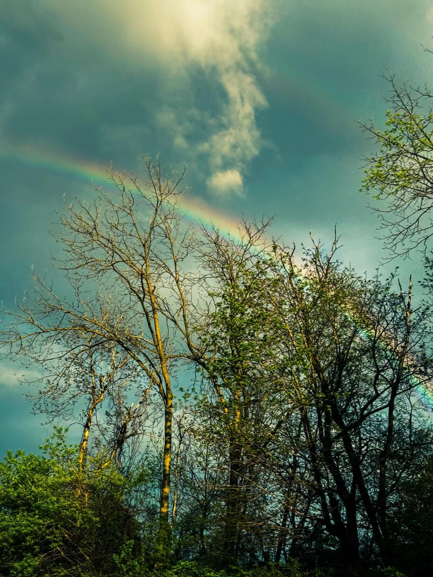 #rainbow #photo #photos