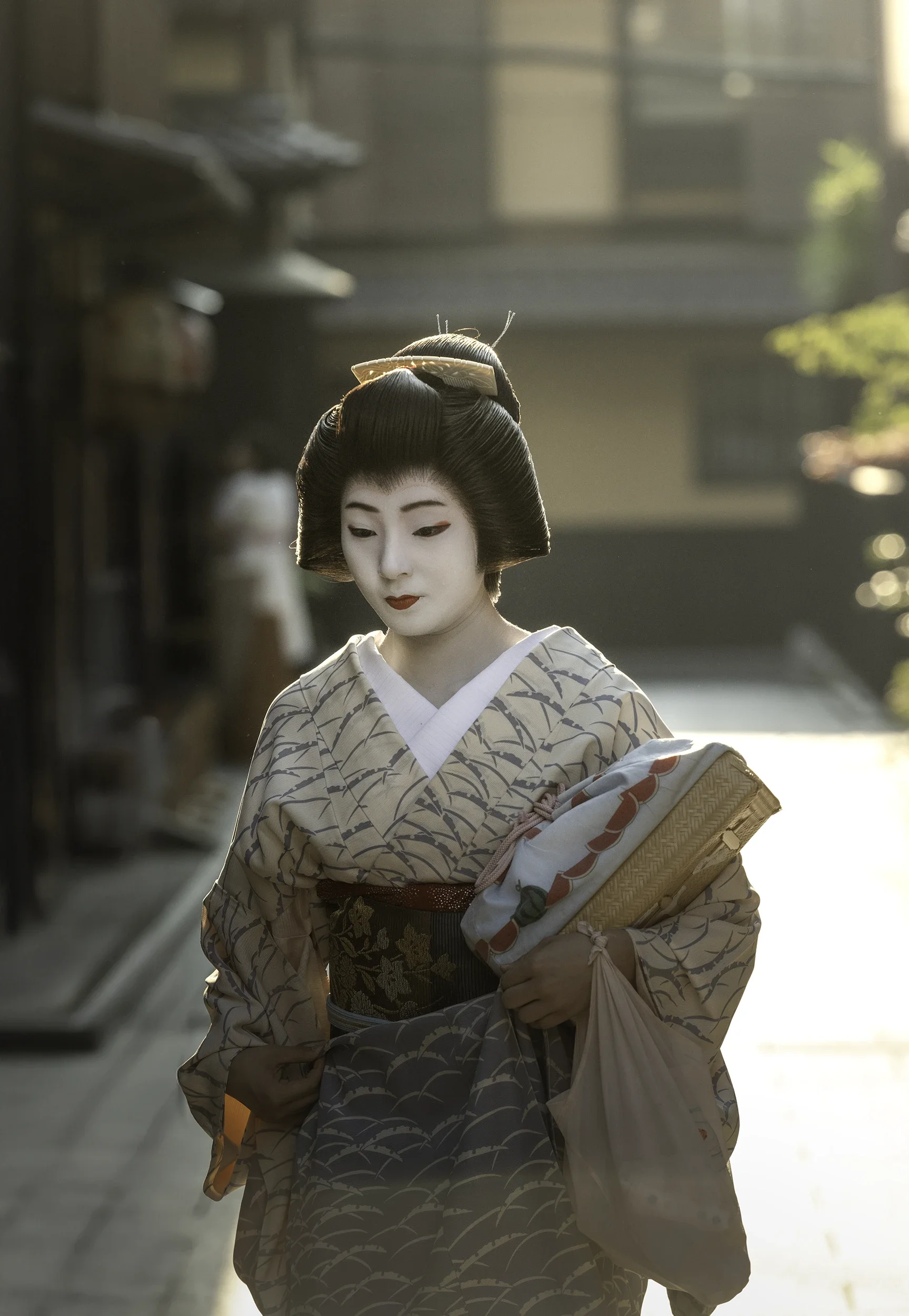 Geisha in Japan: Guardians of Art and Tradition