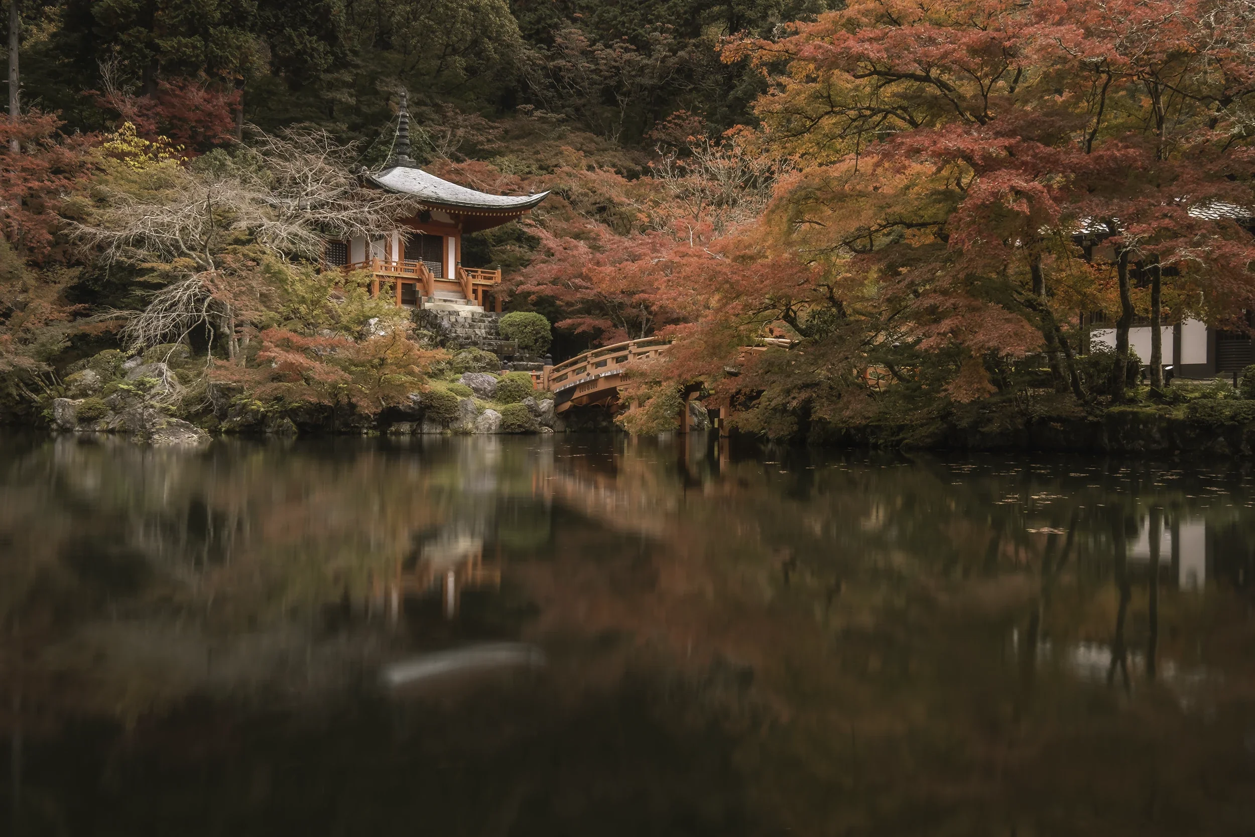The 5 Must-See Spots in Kyoto: History, Highlights, and Access