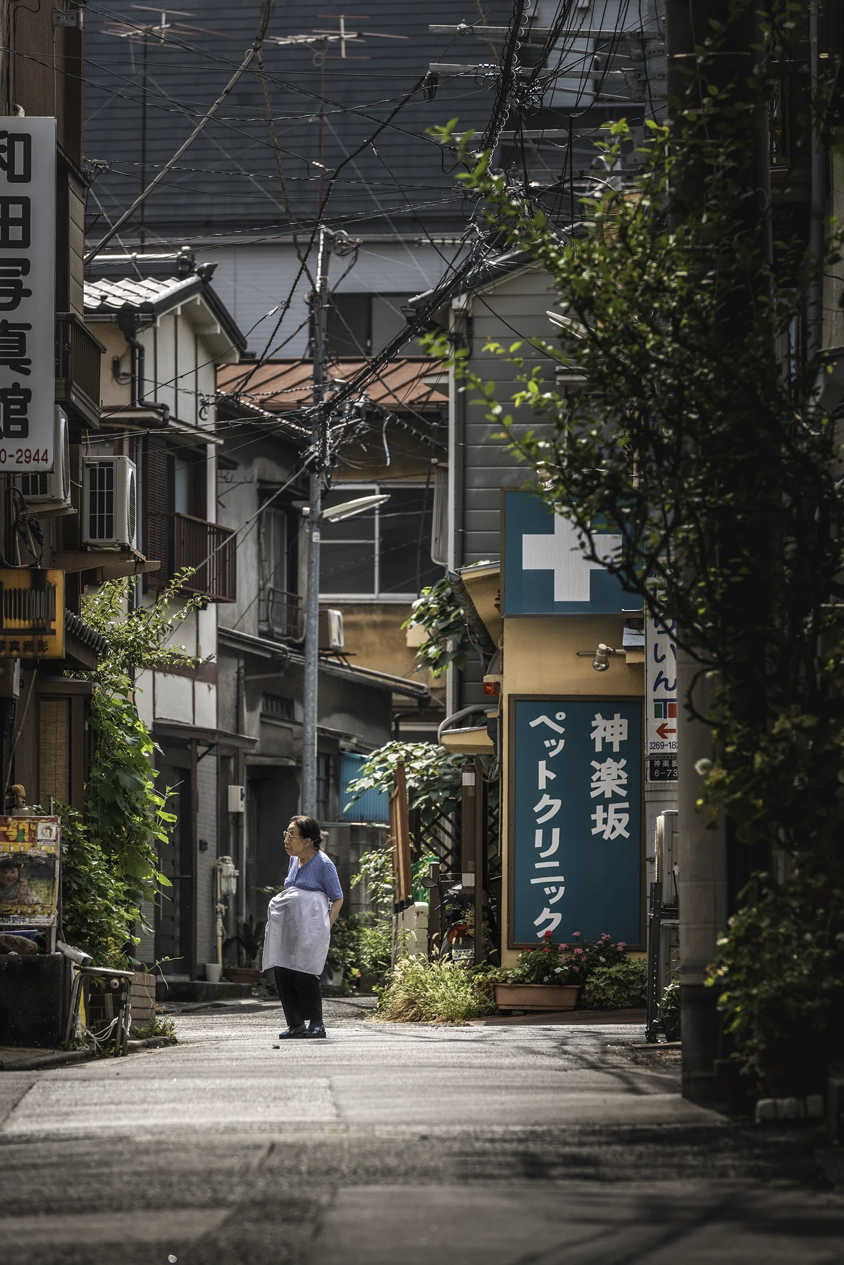 Quiet Residential Street in Tokyo