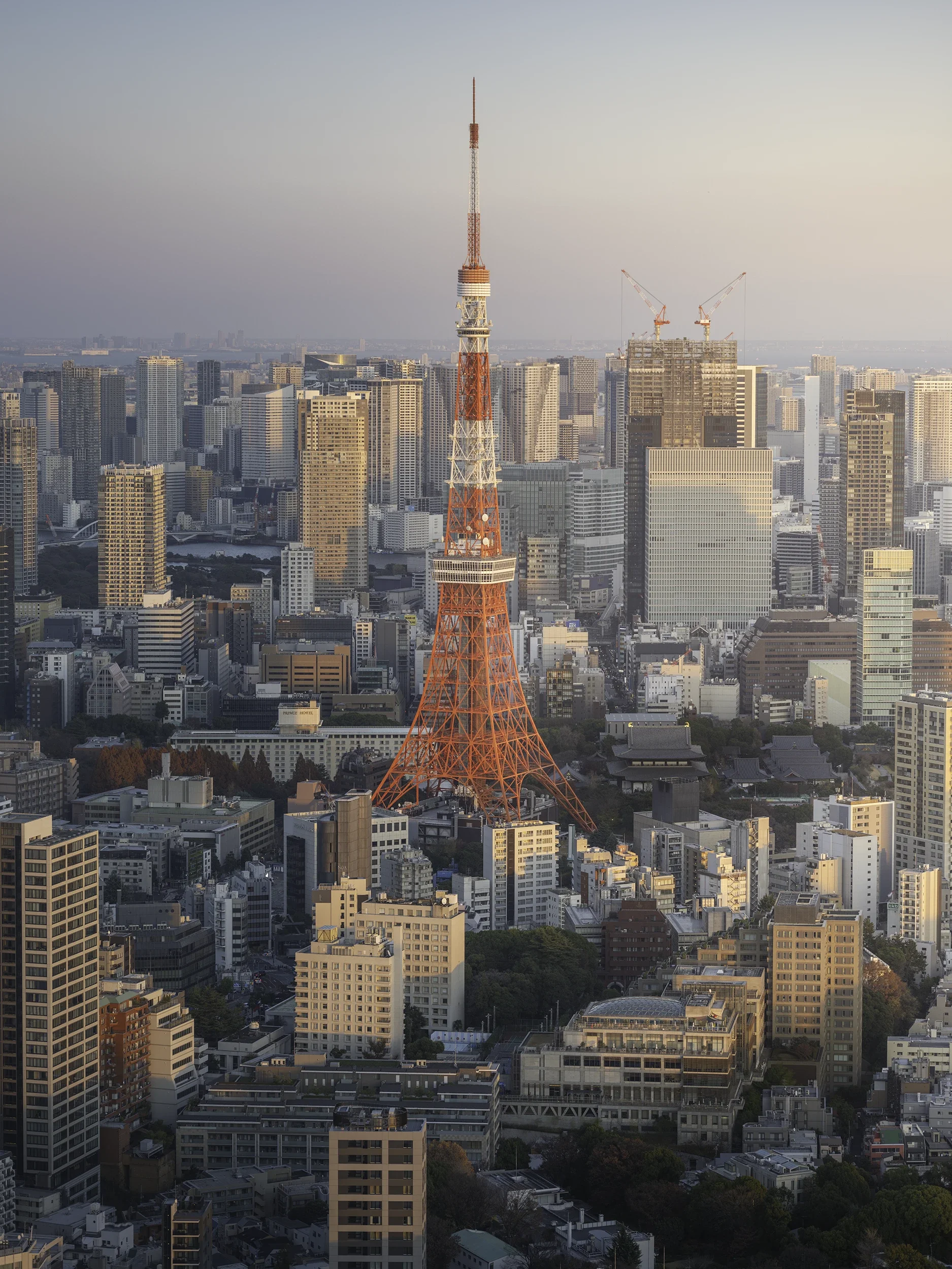 Elevated view of Tokyo Tower framed by the surrounding skyline, highlighting one of Japan's most iconic urban landmarks.