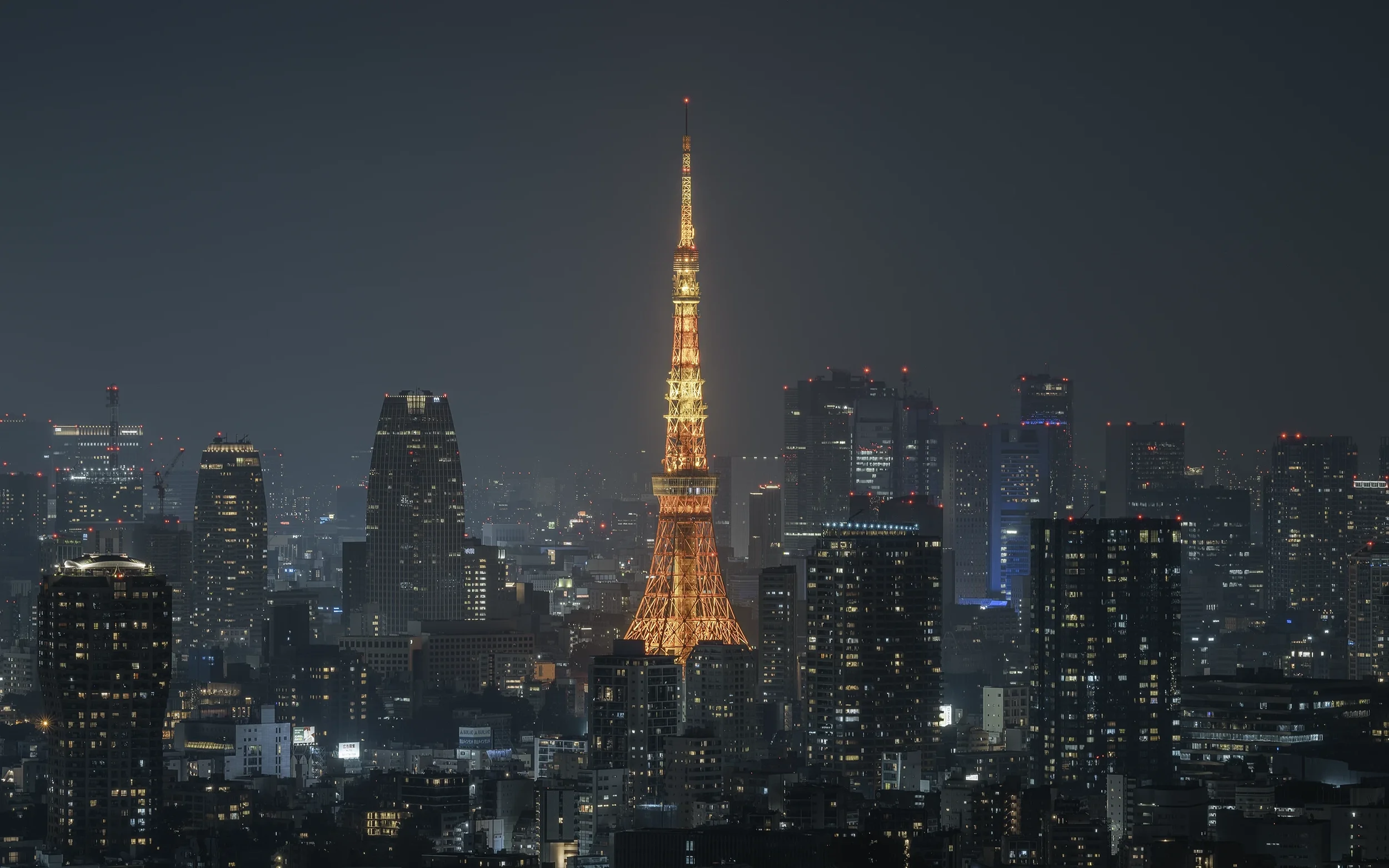 Japan Photographer Nicolas Wauters - Tokyo tower.webp