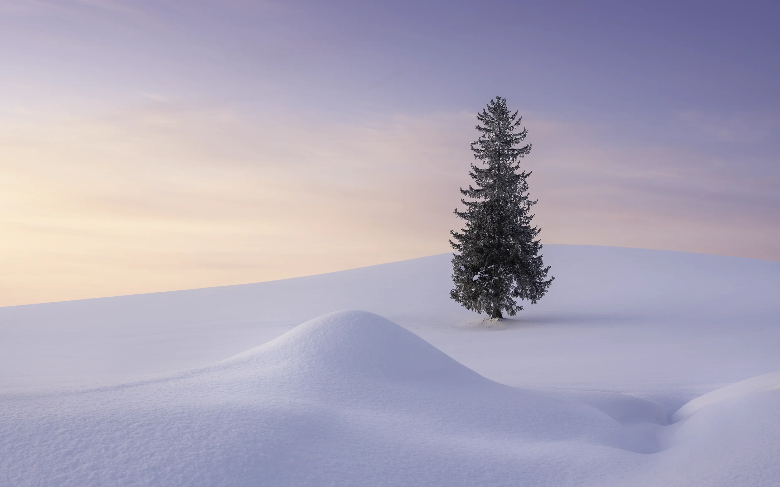 Paysage hivernal avec une seule sapin au loin, neige profonde et ciel pastel