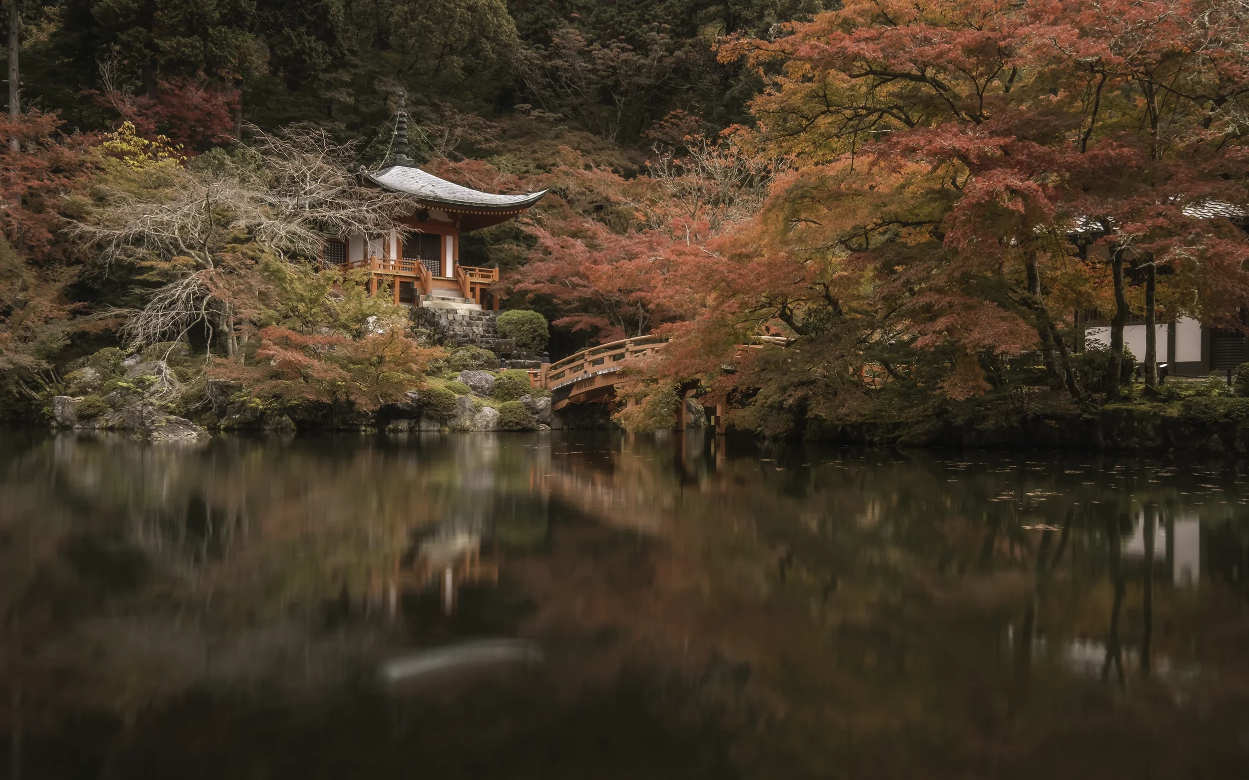 Japan Photographer Nicolas Wauters - kyoto Daigo-ji Temple.webp