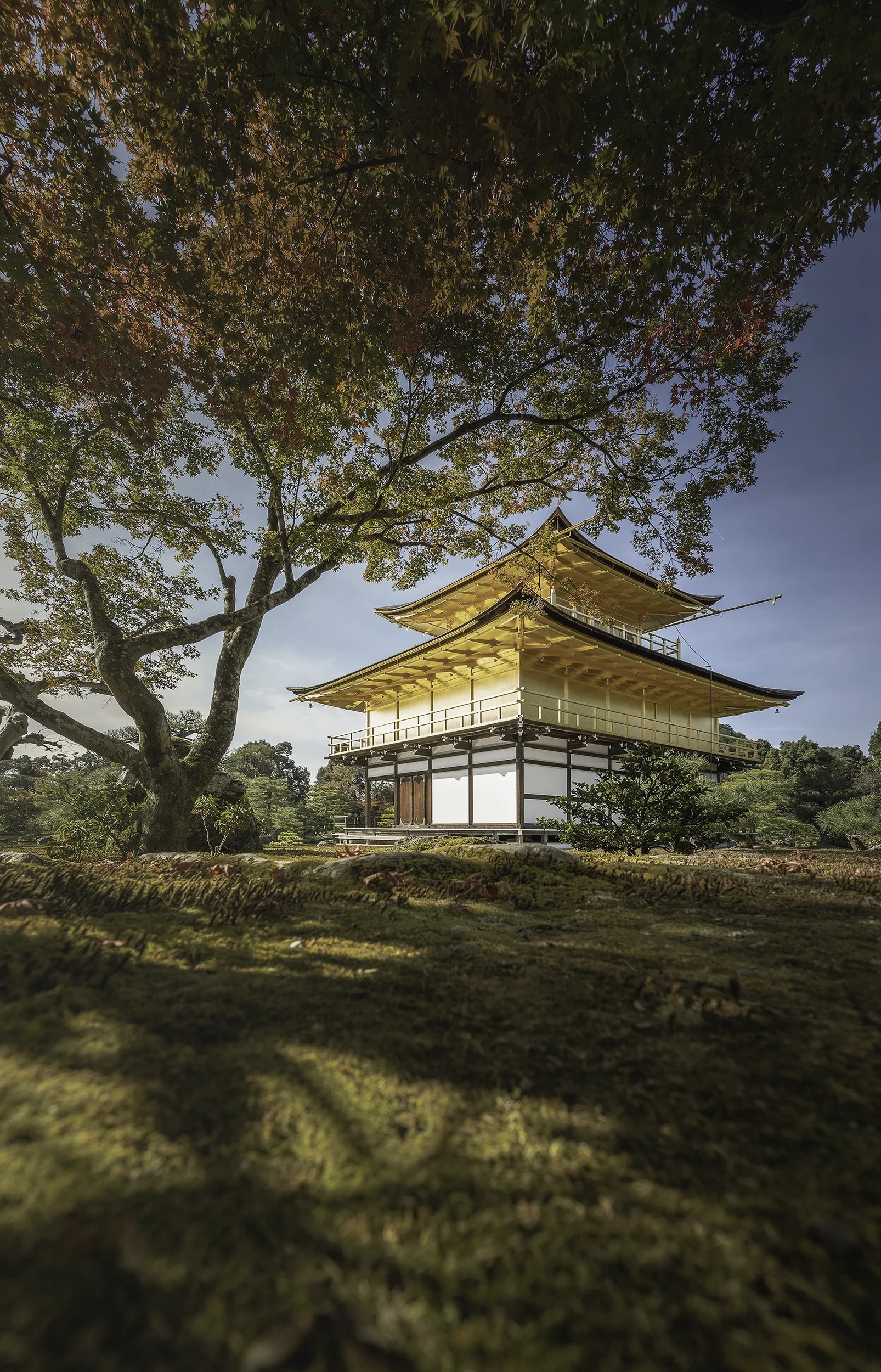 Traditional Japanese garden at Ginkaku-ji Temple in Kyoto, featurinThe Golden Pavilion (Kinkaku-ji) in Kyoto photographed beneath autumn maple trees during soft morning light.g elegant architecture, moss gardens and autumn foliage.