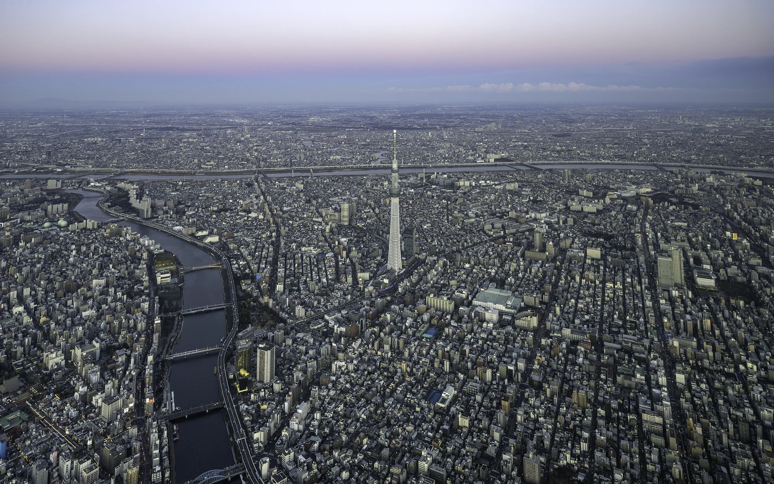 Japan Photographer Nicolas Wauters - Skytree from the Sky.webp
