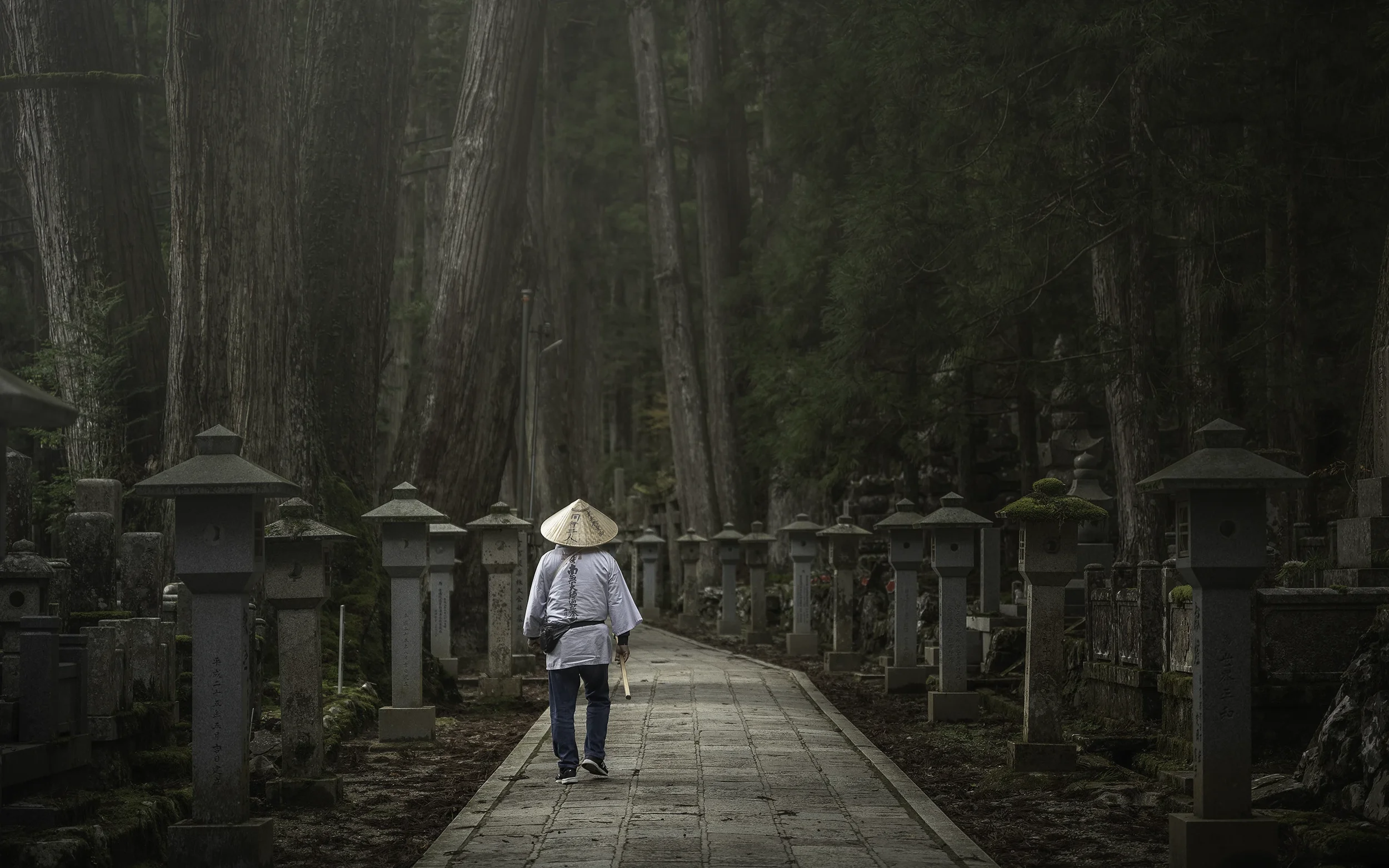 Japan Photographer Nicolas Wauters - Koyasan Okunoin Pilgrim.webp