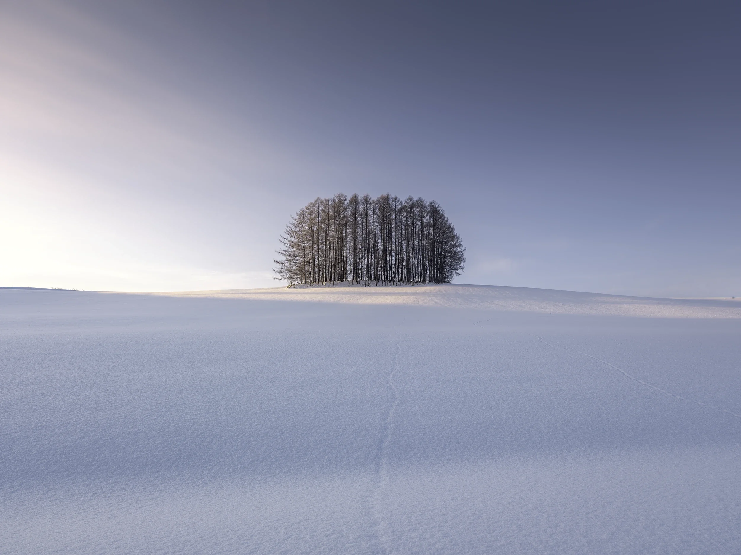 Snow-Covered Landscape of Biei | Hokkaido Photography