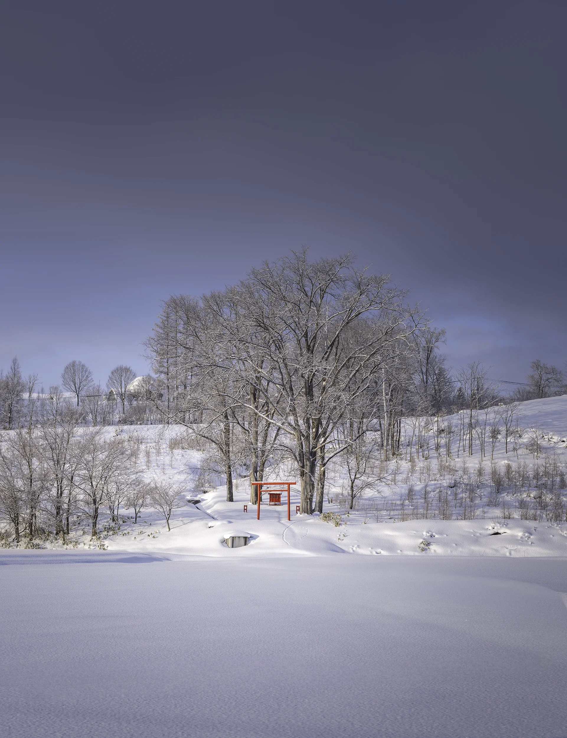 Winter Photography Workshop in Biei, Hokkaido | Japan