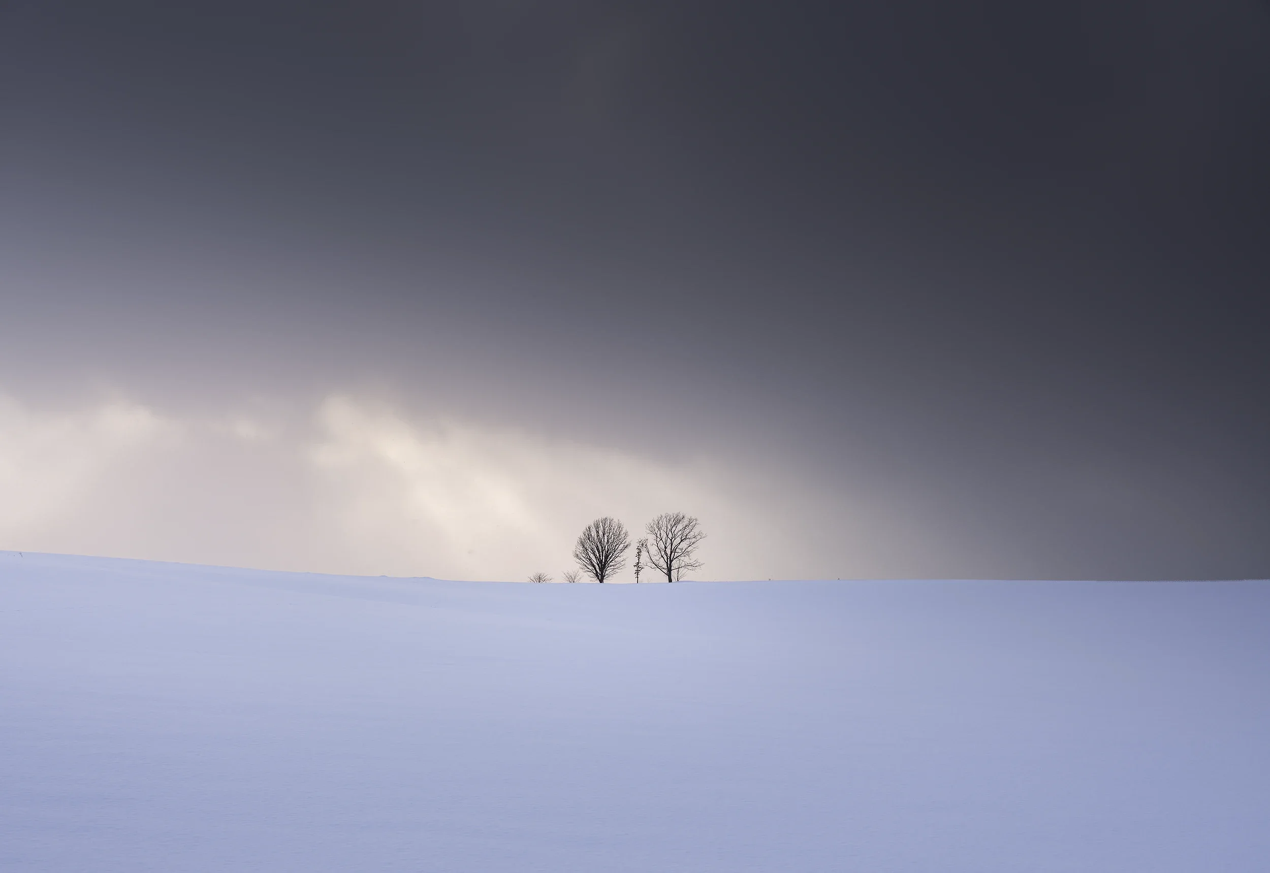 Two bare trees standing alone on a snowy hill in Biei, Hokkaido, framed by dramatic winter light breaking through storm clouds.