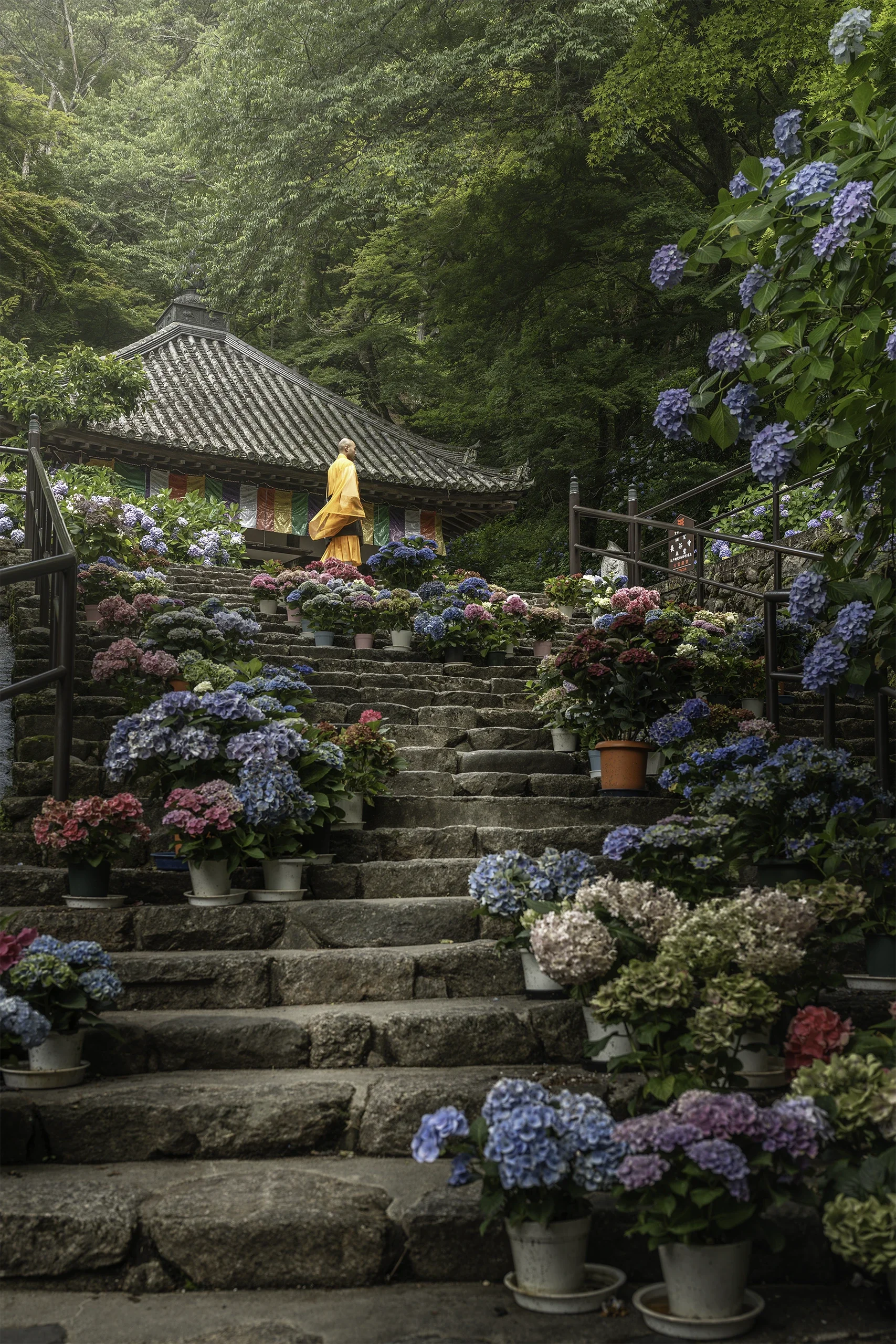 Japan Photographer Nicolas Wauters - Hase Dera Monk Nara.webp