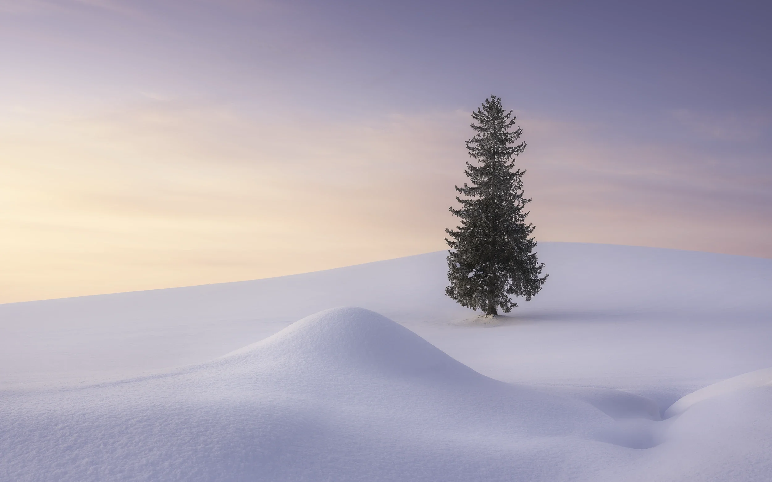 Solitary evergreen tree standing in a snow-covered field at sunrise in Biei, Hokkaido, beneath a pastel winter sky.