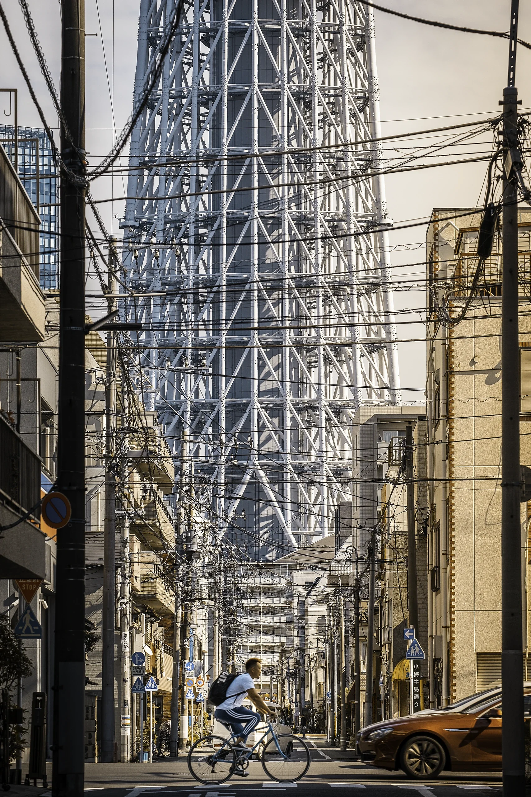 Cyclist Beneath Tokyo Skytree, Japan