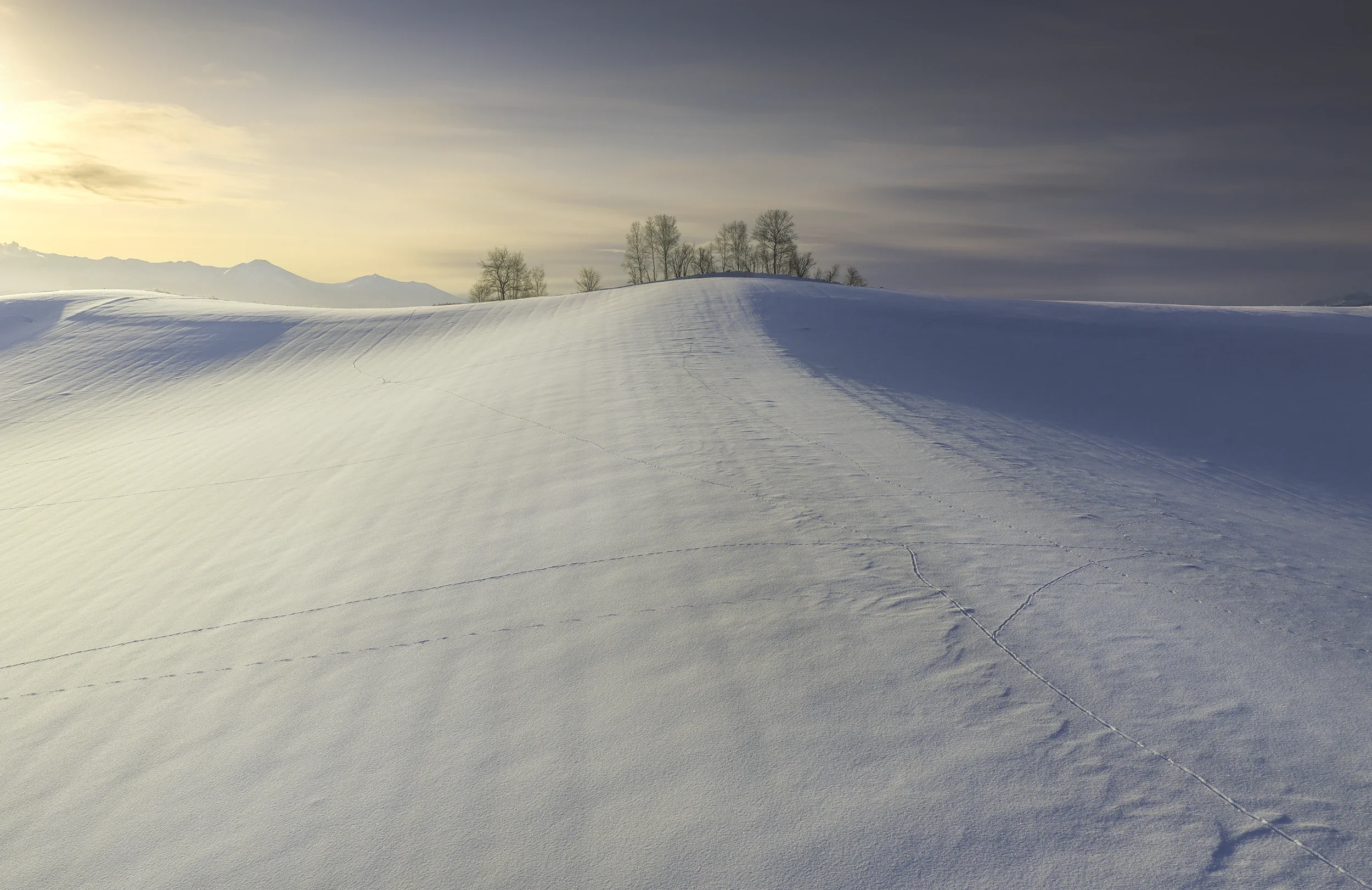 Rolling snow-covered hills at sunrise in Biei, Hokkaido, illuminated by soft winter light and subtle textures in the untouched snow.