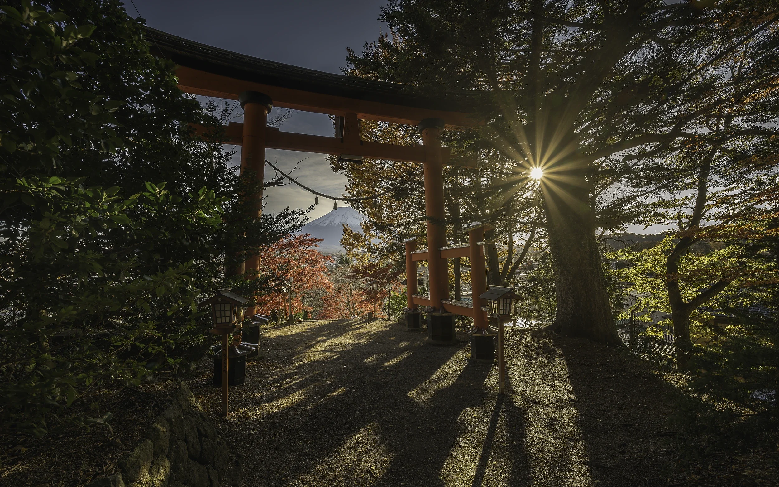 One of Japan's most iconic views, yet one that reveals a different atmosphere with every season. Framed by the vermilion torii gates of Arakura Sengen Shrine, Mount Fuji emerges quietly through the autumn colours as the first morning light filters th