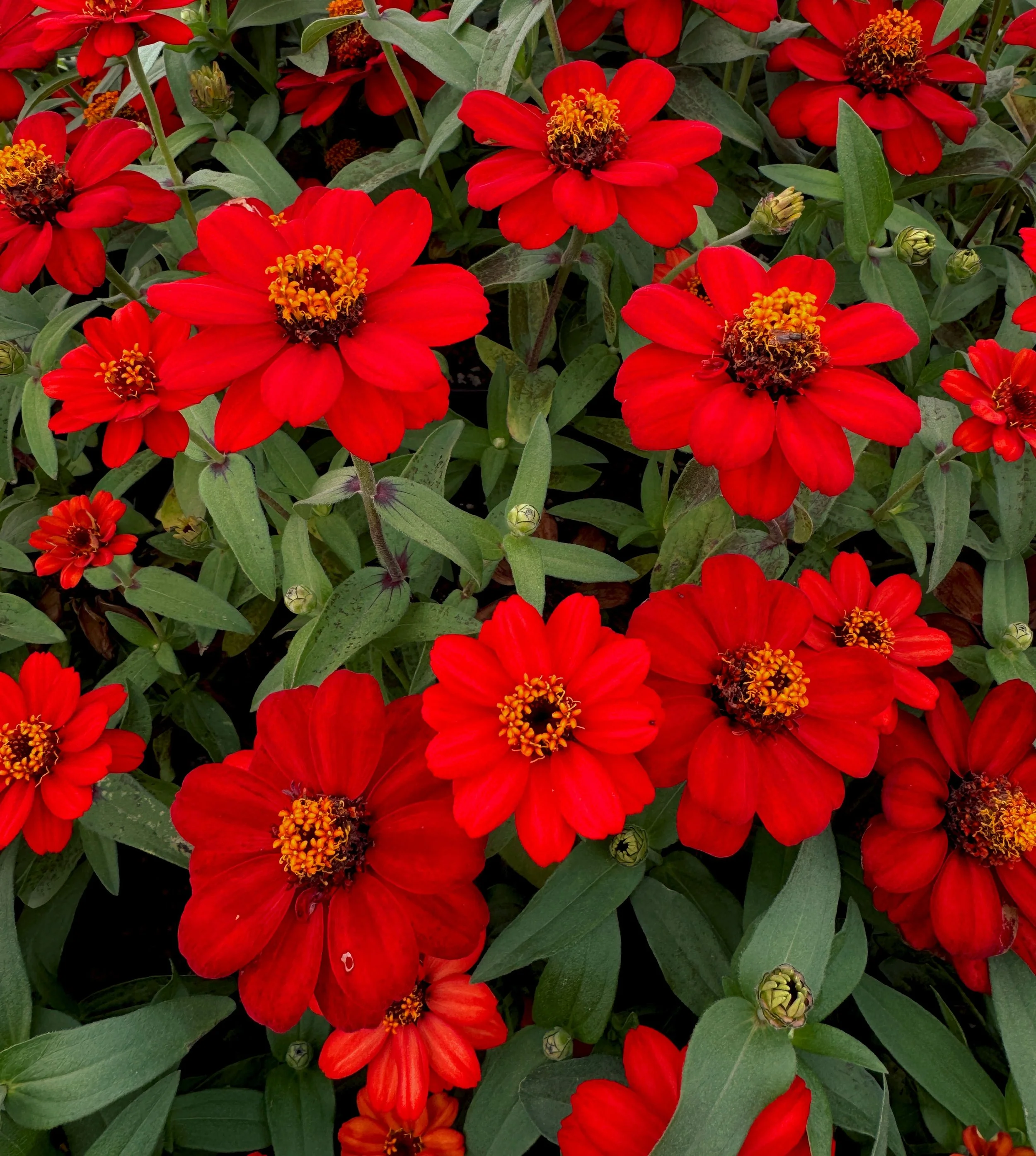 Red

Photography assignment 