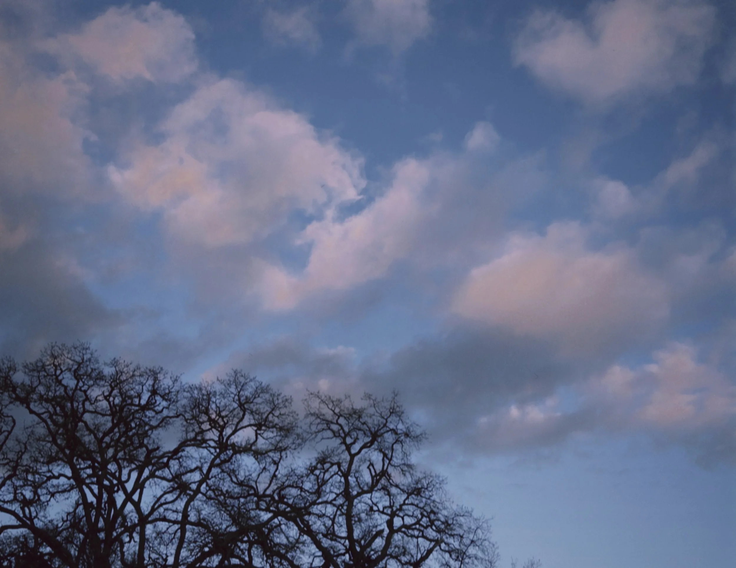 BlueSky

Photography assignment