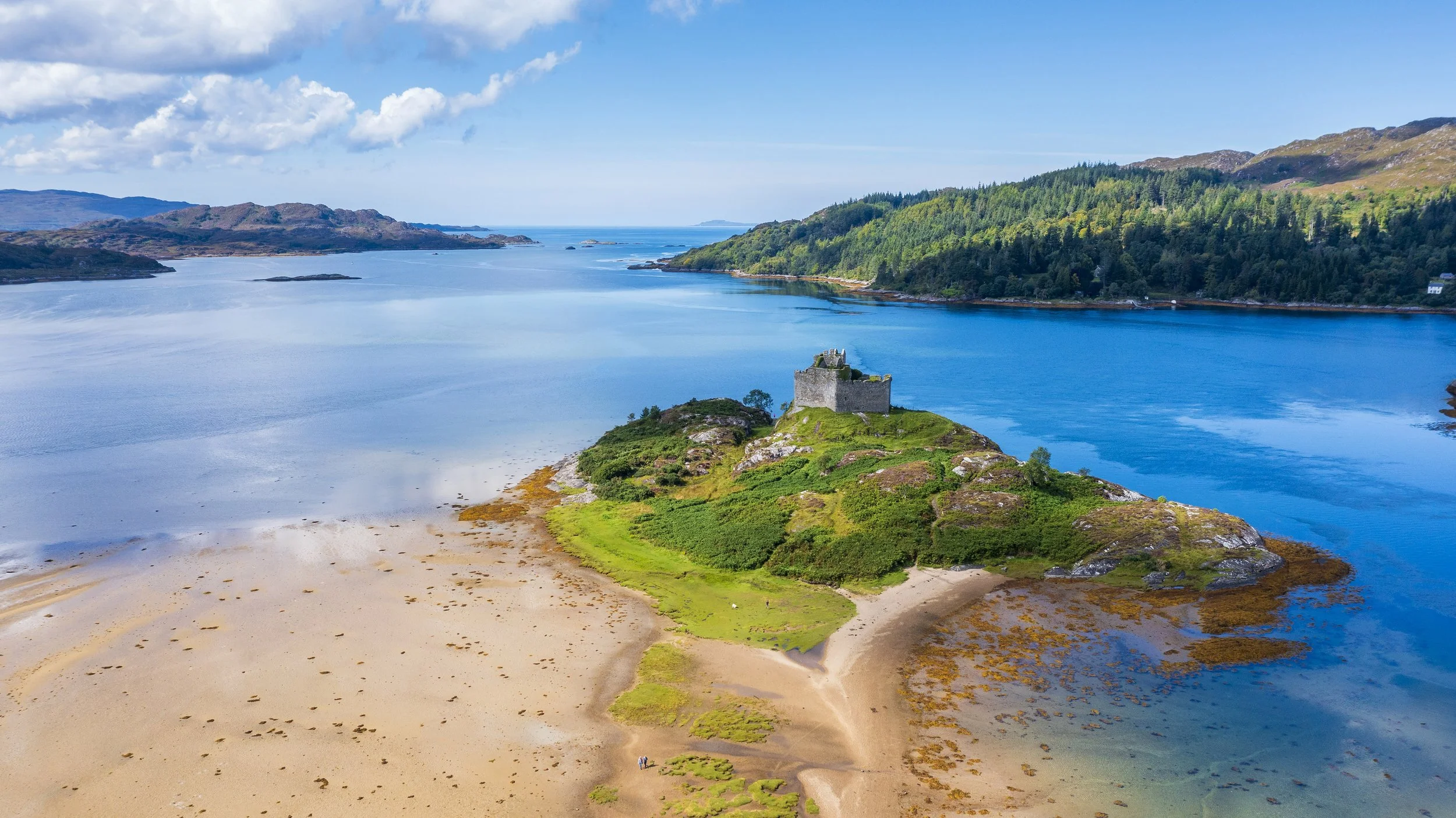 Follow -Up Focused Session 45 min