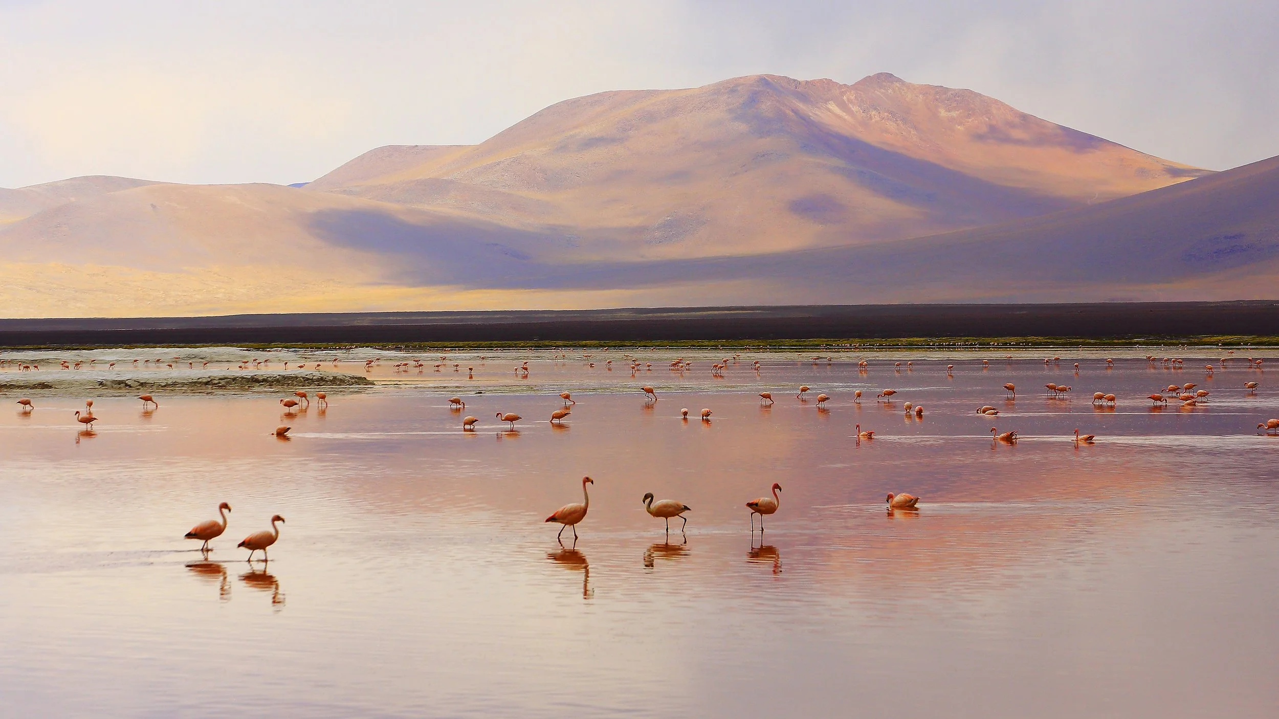 GROUNDED: Returning to Clarity, Faith & Self-Trust Mini - FREE e-book