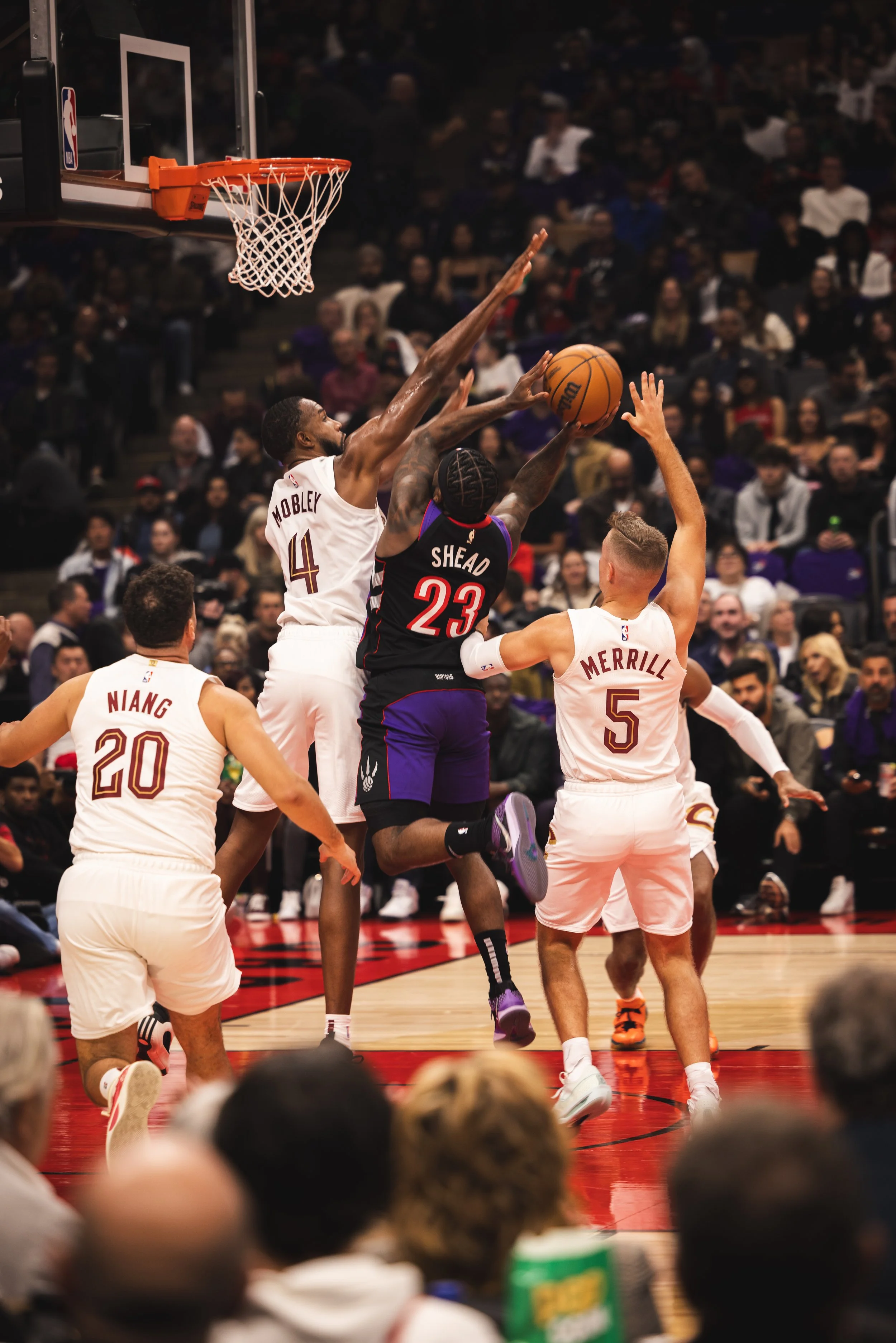 A Toronto Raptors NBA basketball game with players jumping for a ball near the hoop, while spectators watch from the stands.