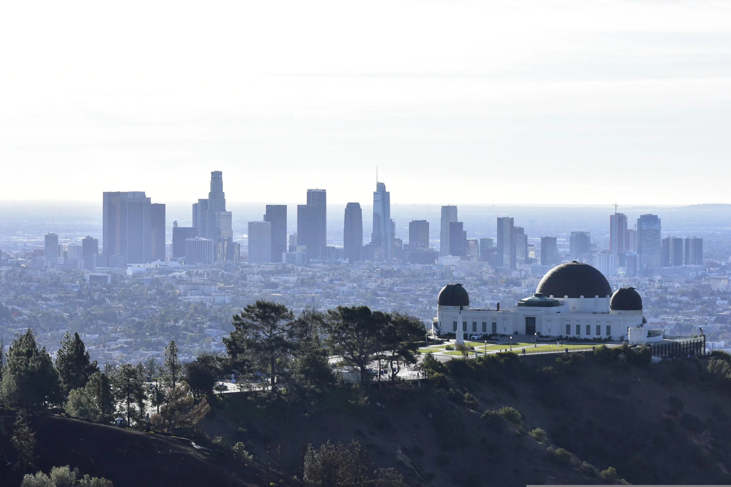 View of the Los Angeles skyline with the Griffith Observatory in the foreground.