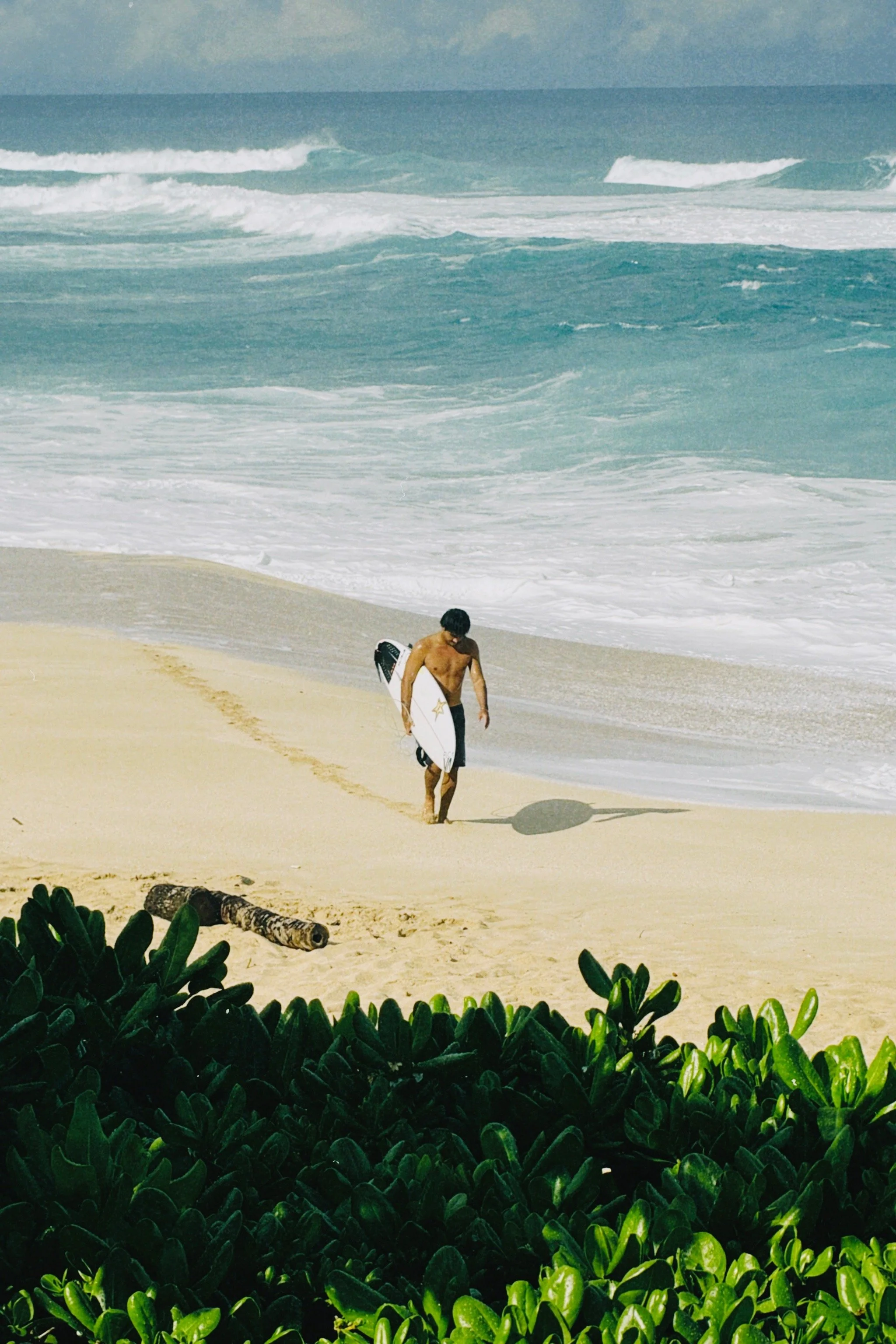 dclassic 2025-11-02 092617.739.JPEG