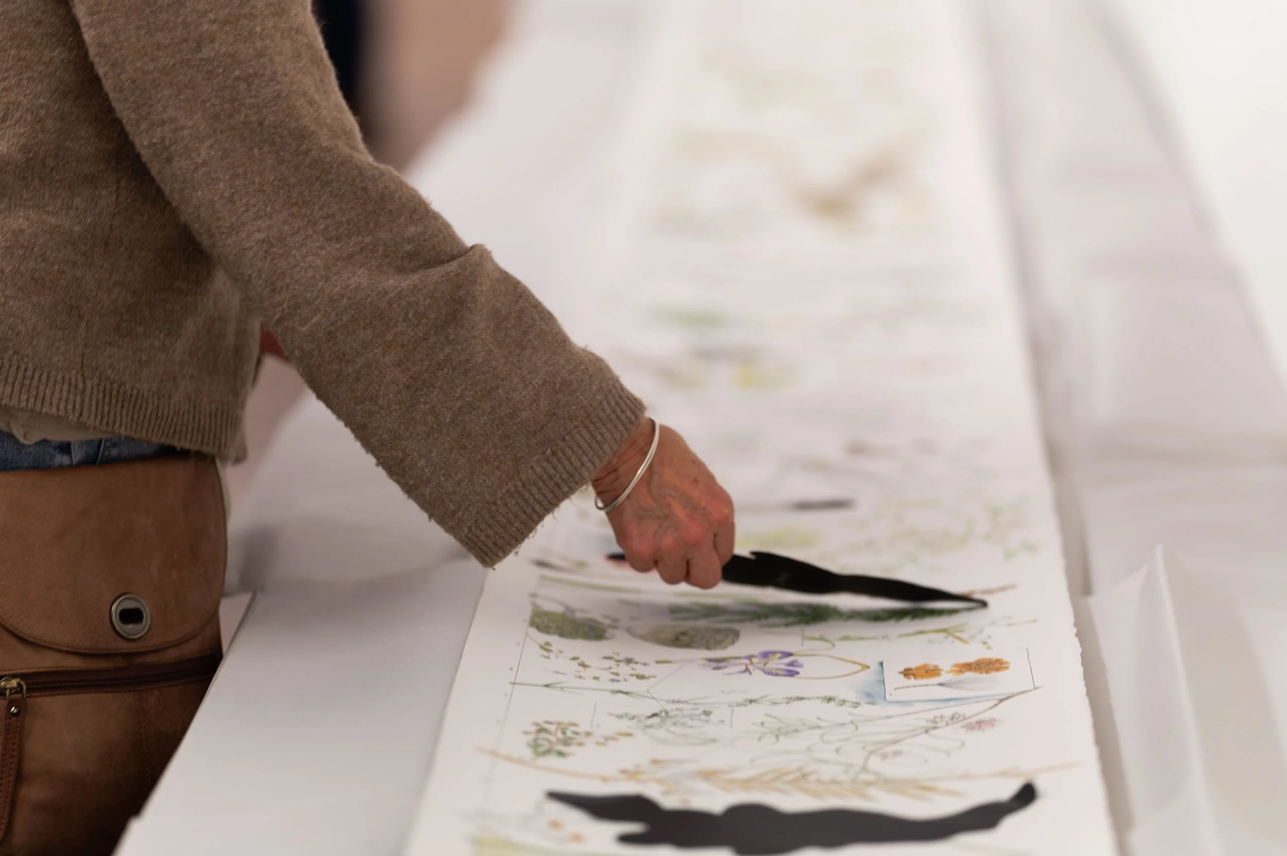 The Scrolls