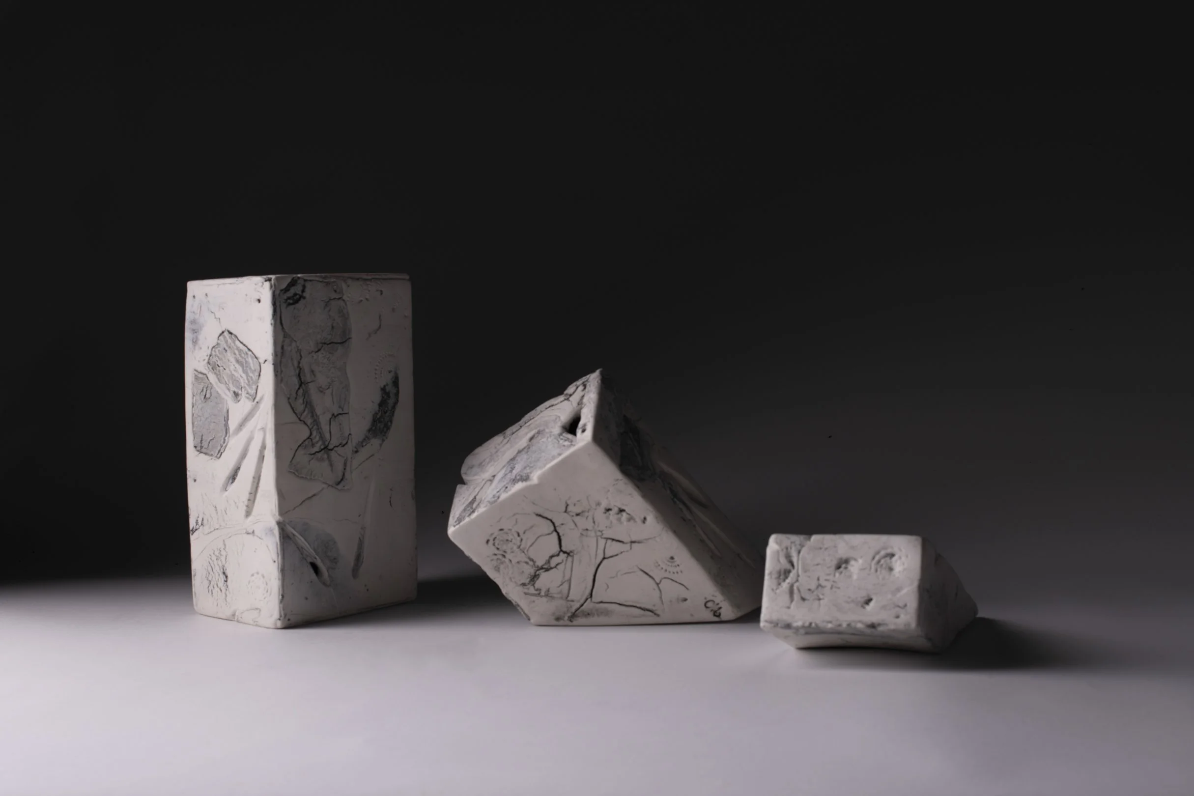 Cinda_Manins_Foundation Stone_Fossil.jpeg