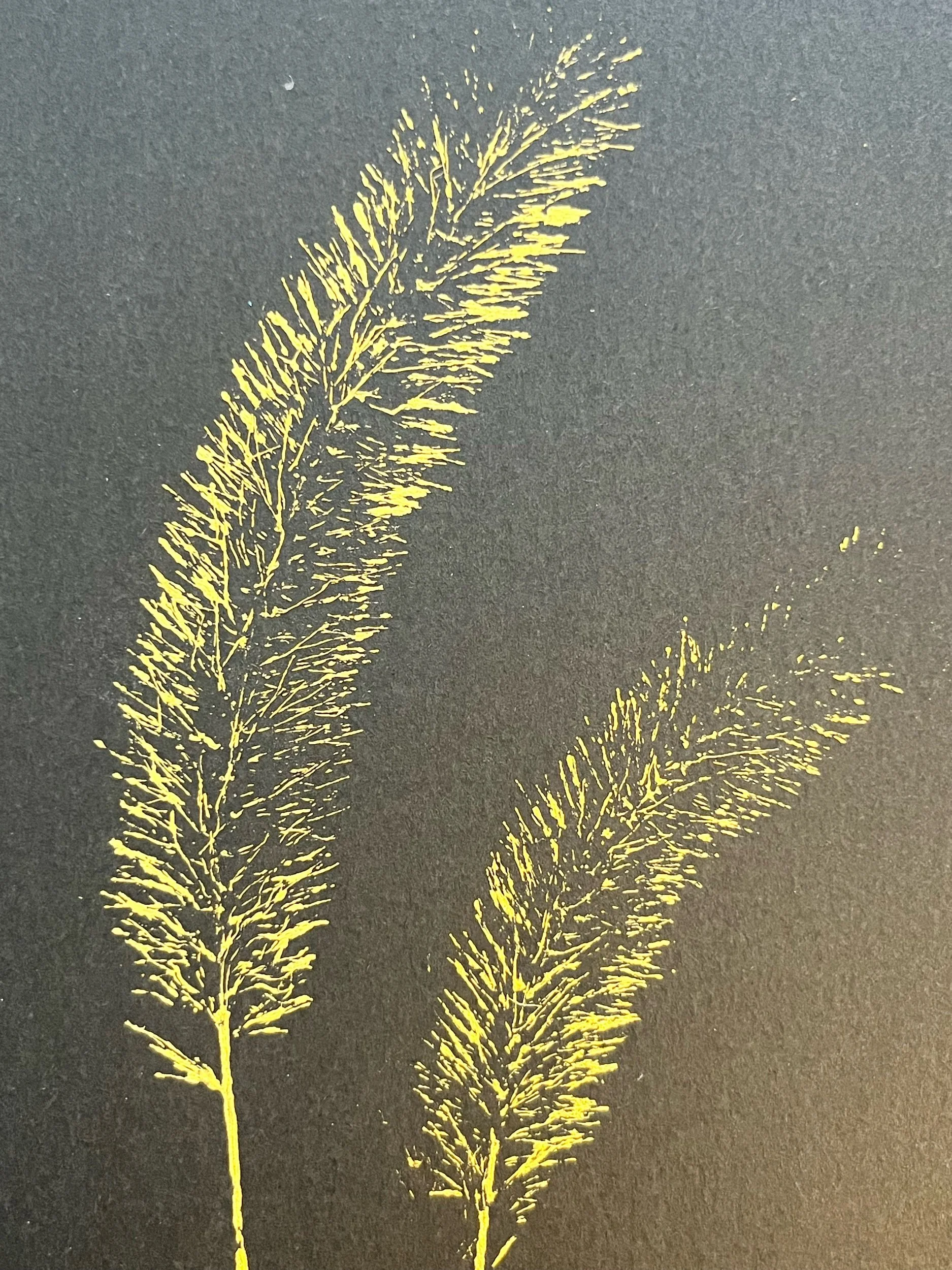 Wildgrass Monoprint (Gold on Black)